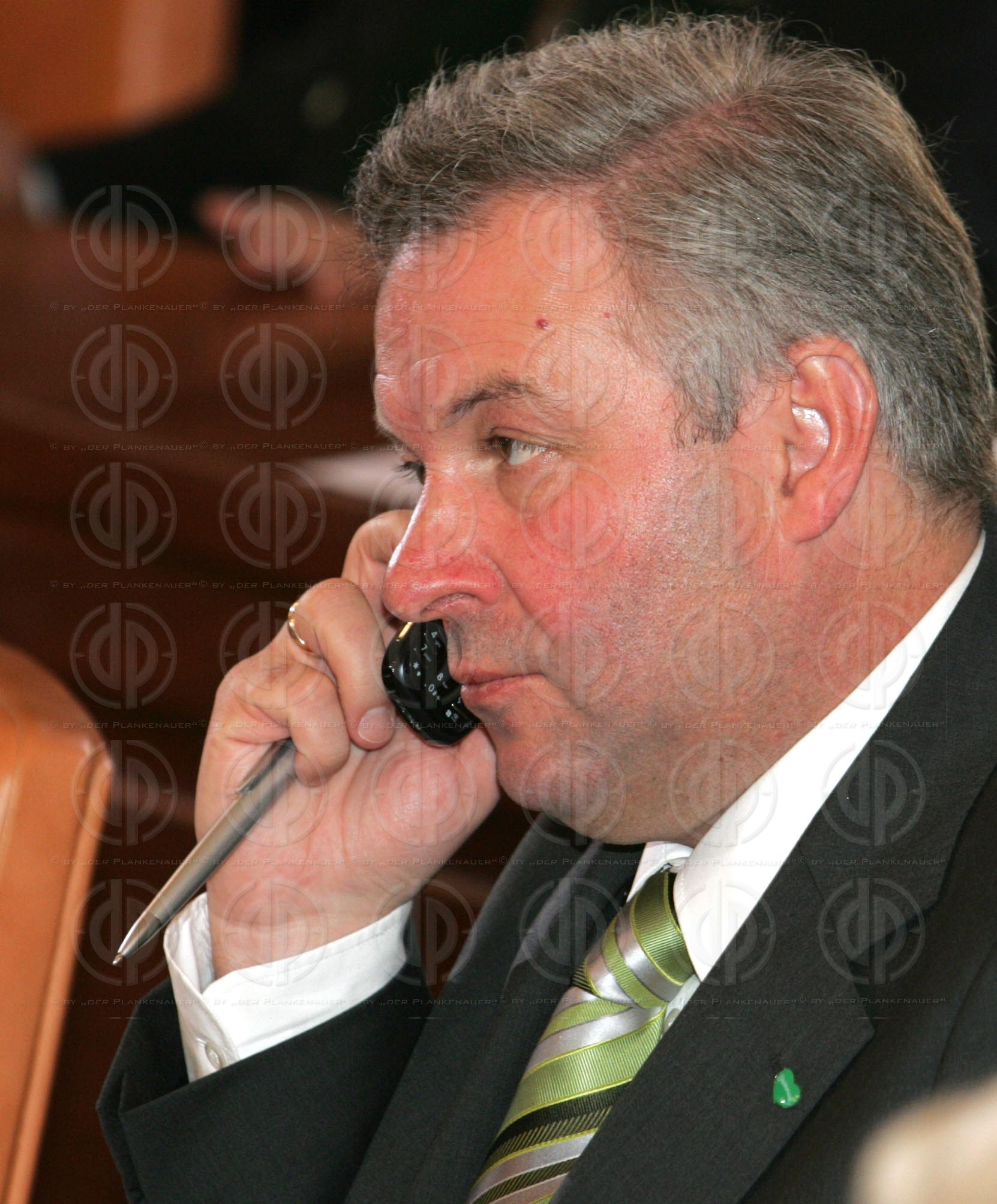 Konstitution des Steiermärkischen Landtages