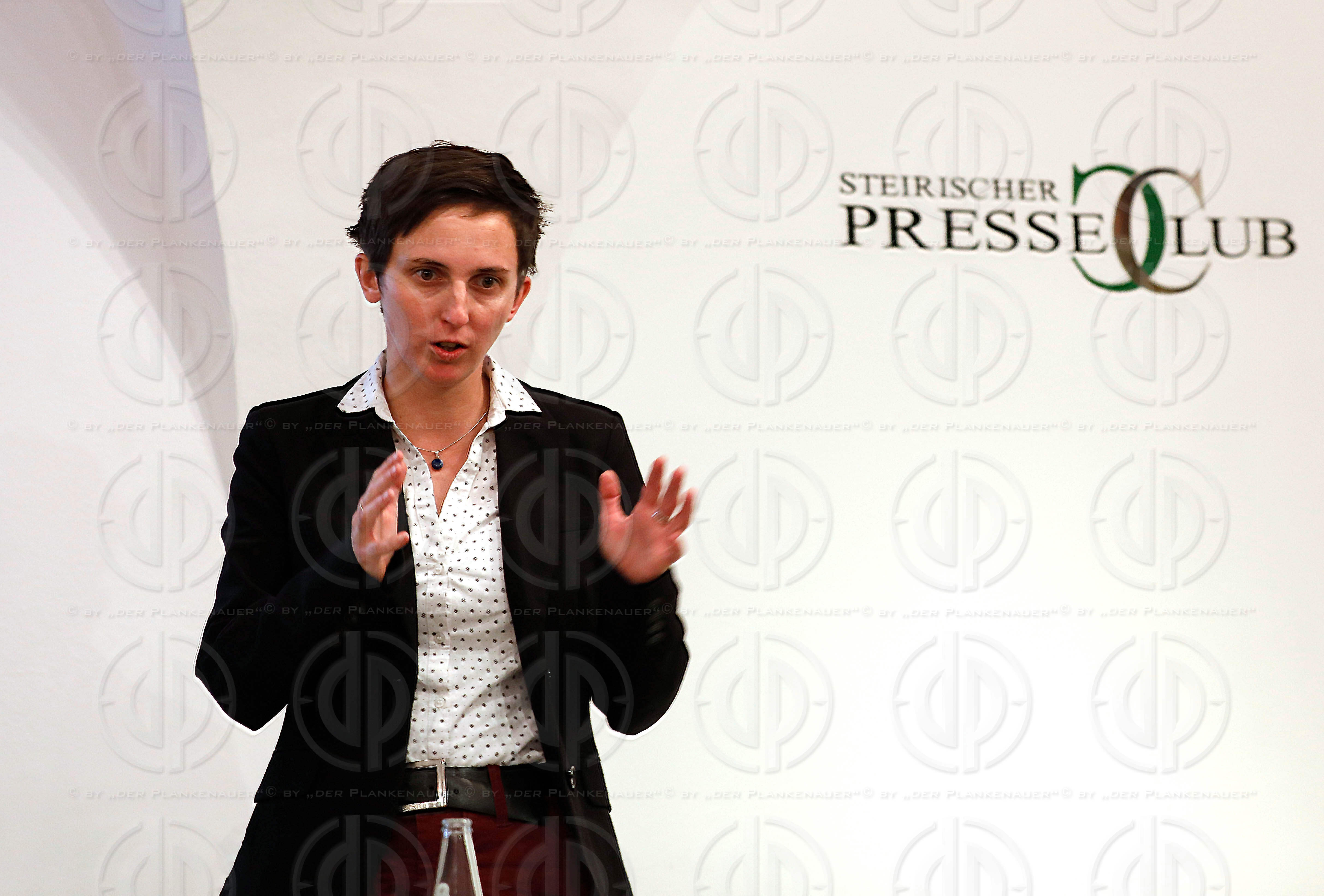 PRofi Treff zu Wahlen der Bilder - Bilder der Wahlen