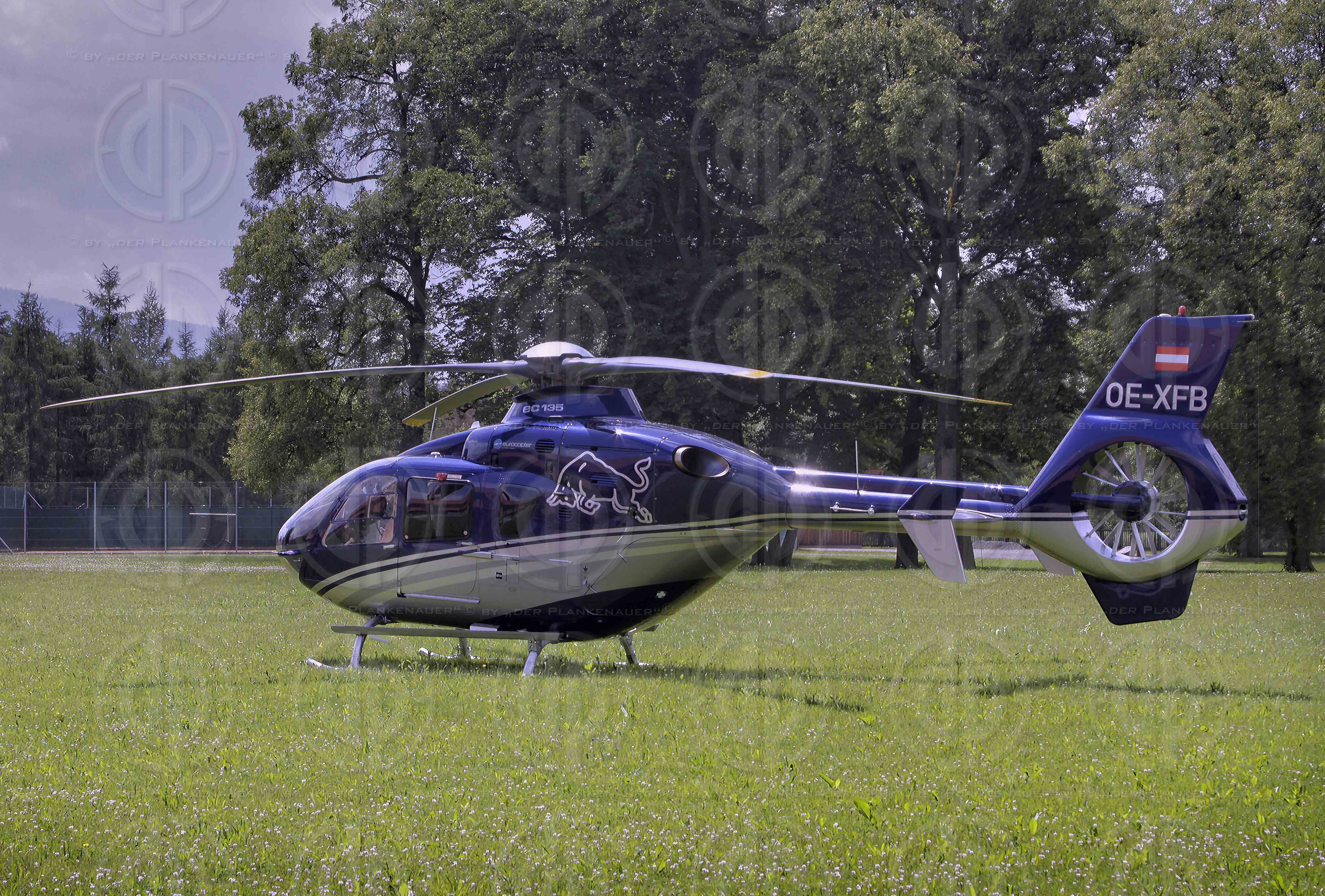 Grand Prix von Oesterreich 2014 Vorberichte