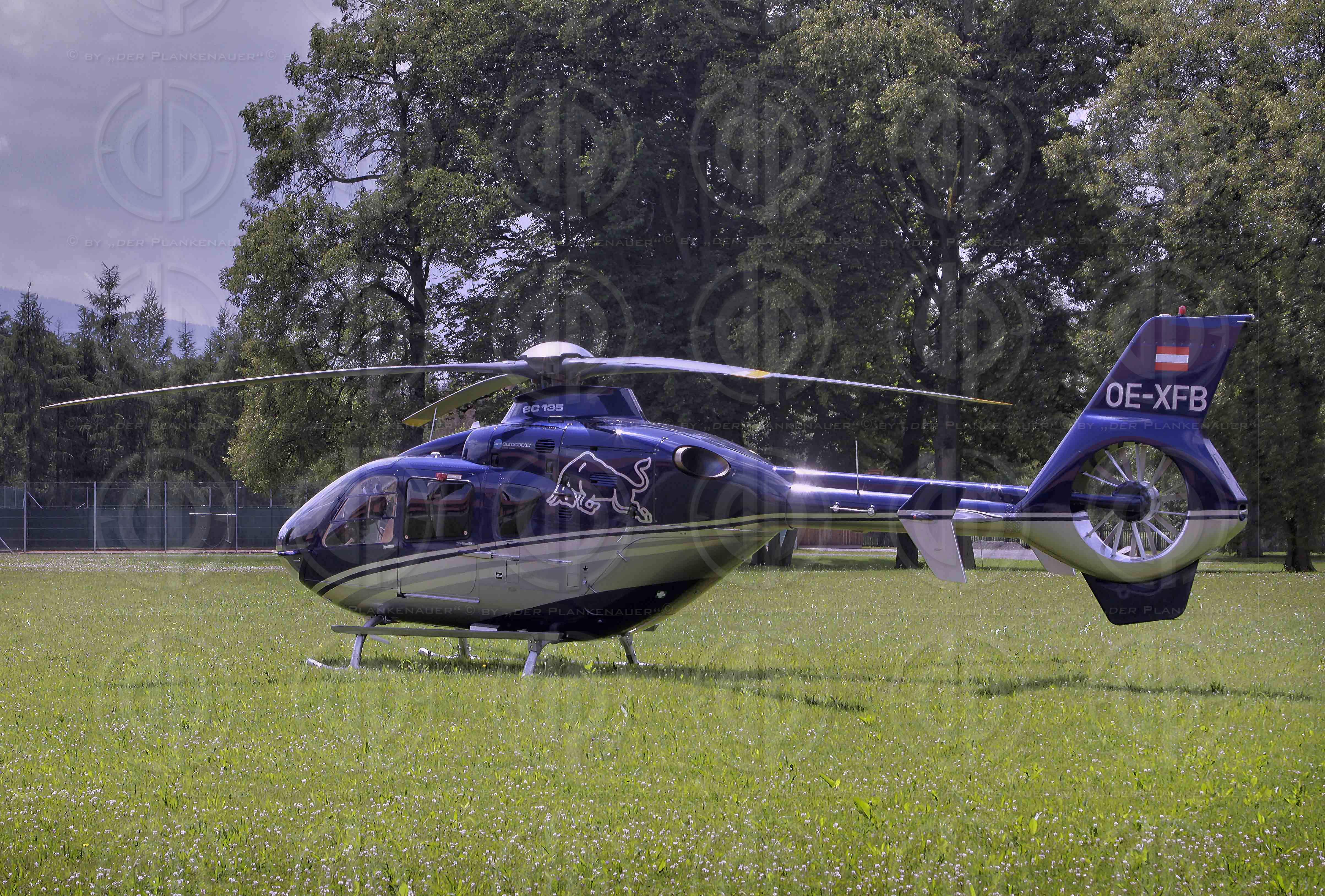 Grand Prix von Oesterreich 2014 Vorberichte