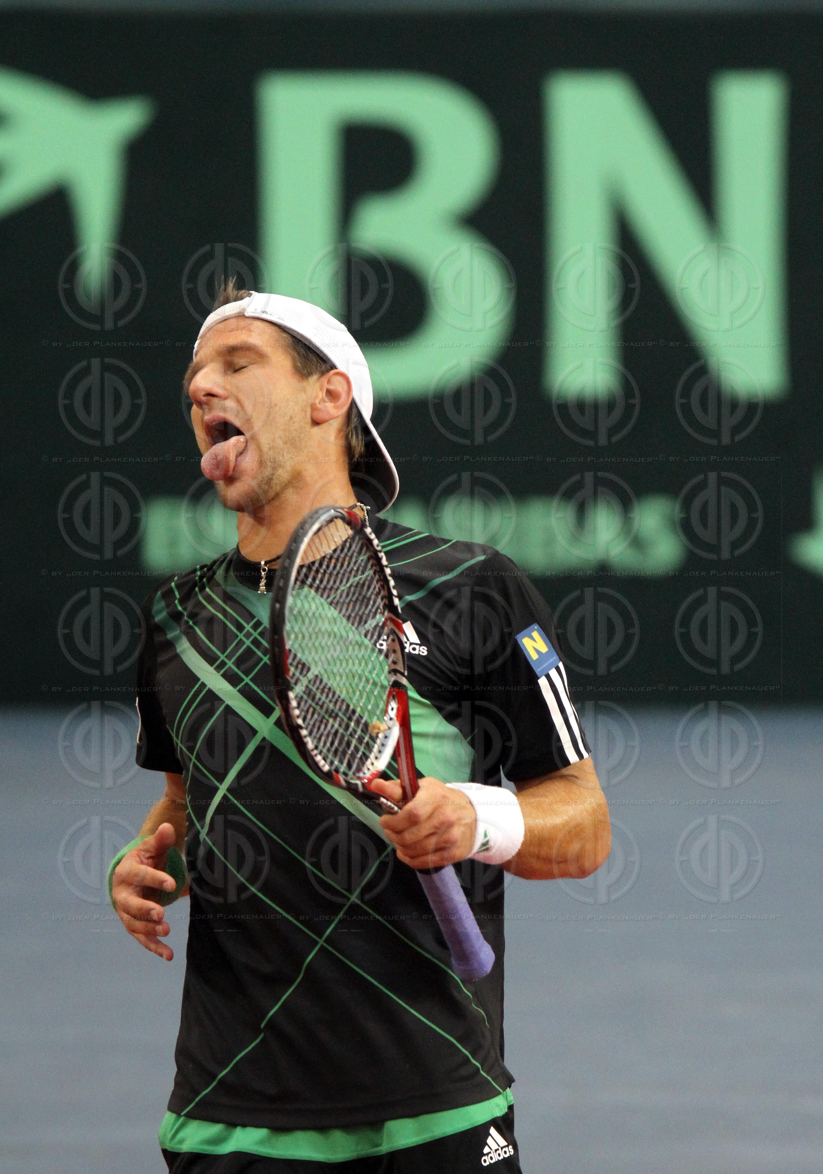 Davis Cup Öesterreich vs. Slowakei