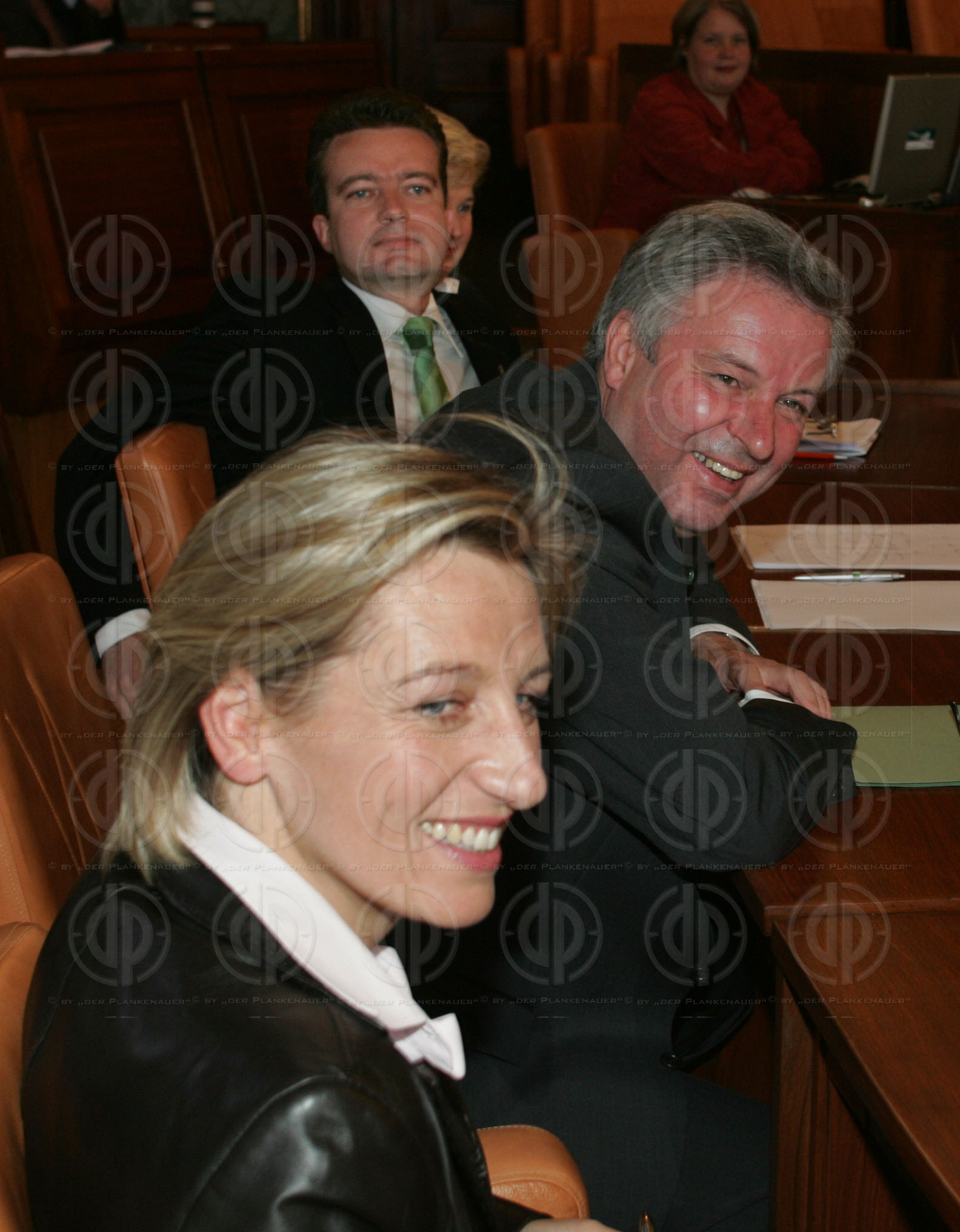 Konstitution des Steiermärkischen Landtages