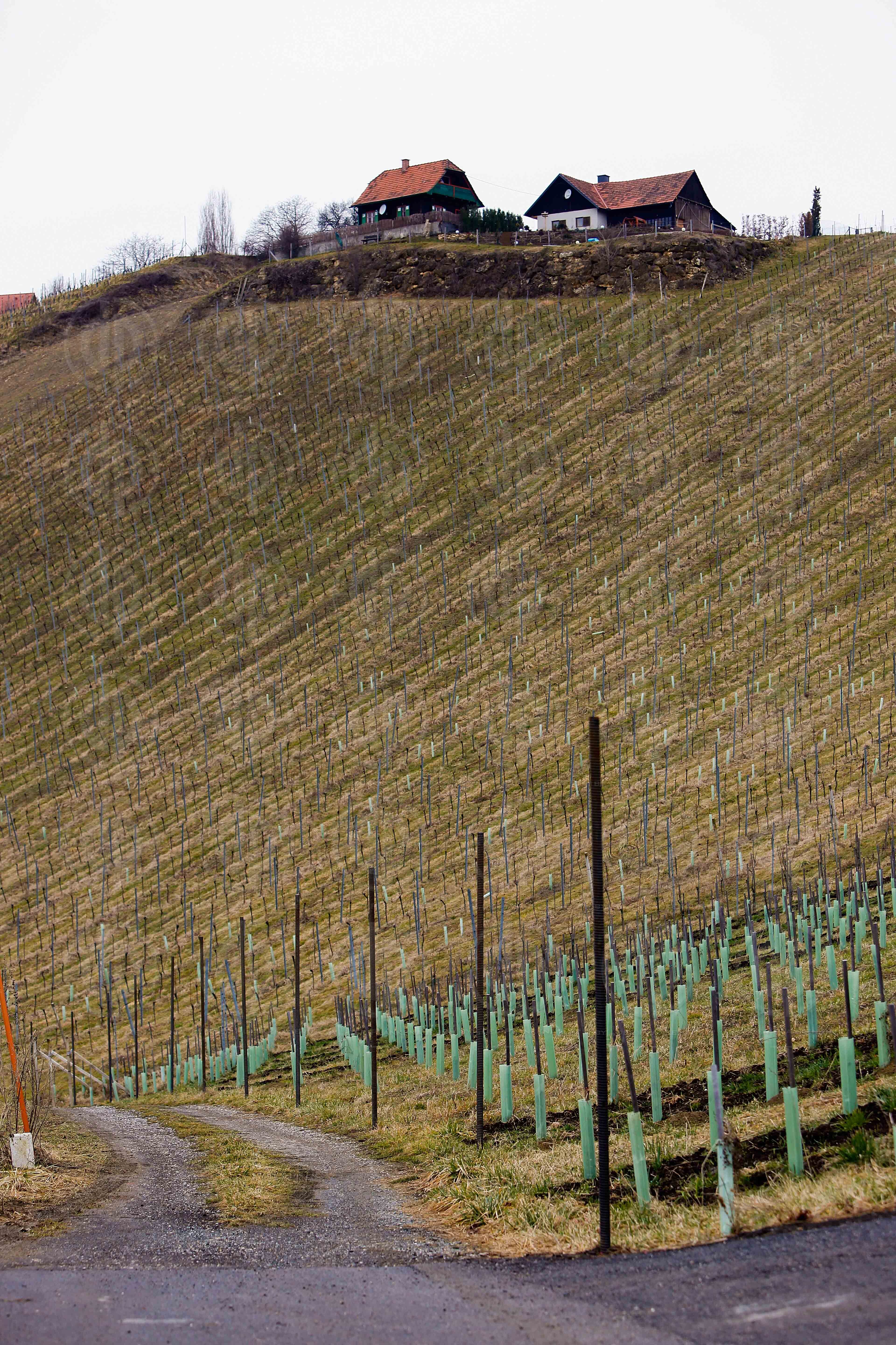 Zaun an der Suedgrenze zu Slowenien