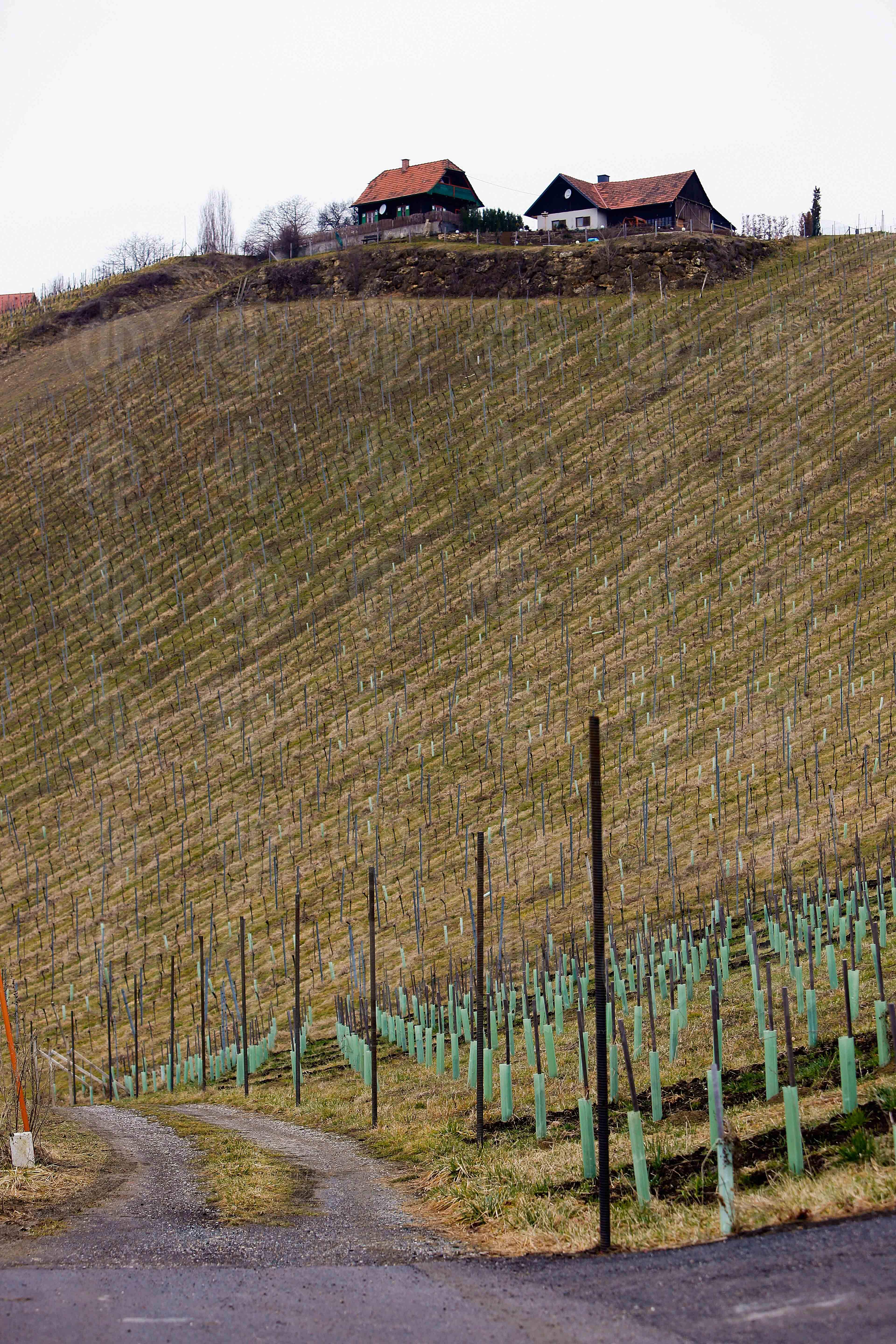 Zaun an der Suedgrenze zu Slowenien