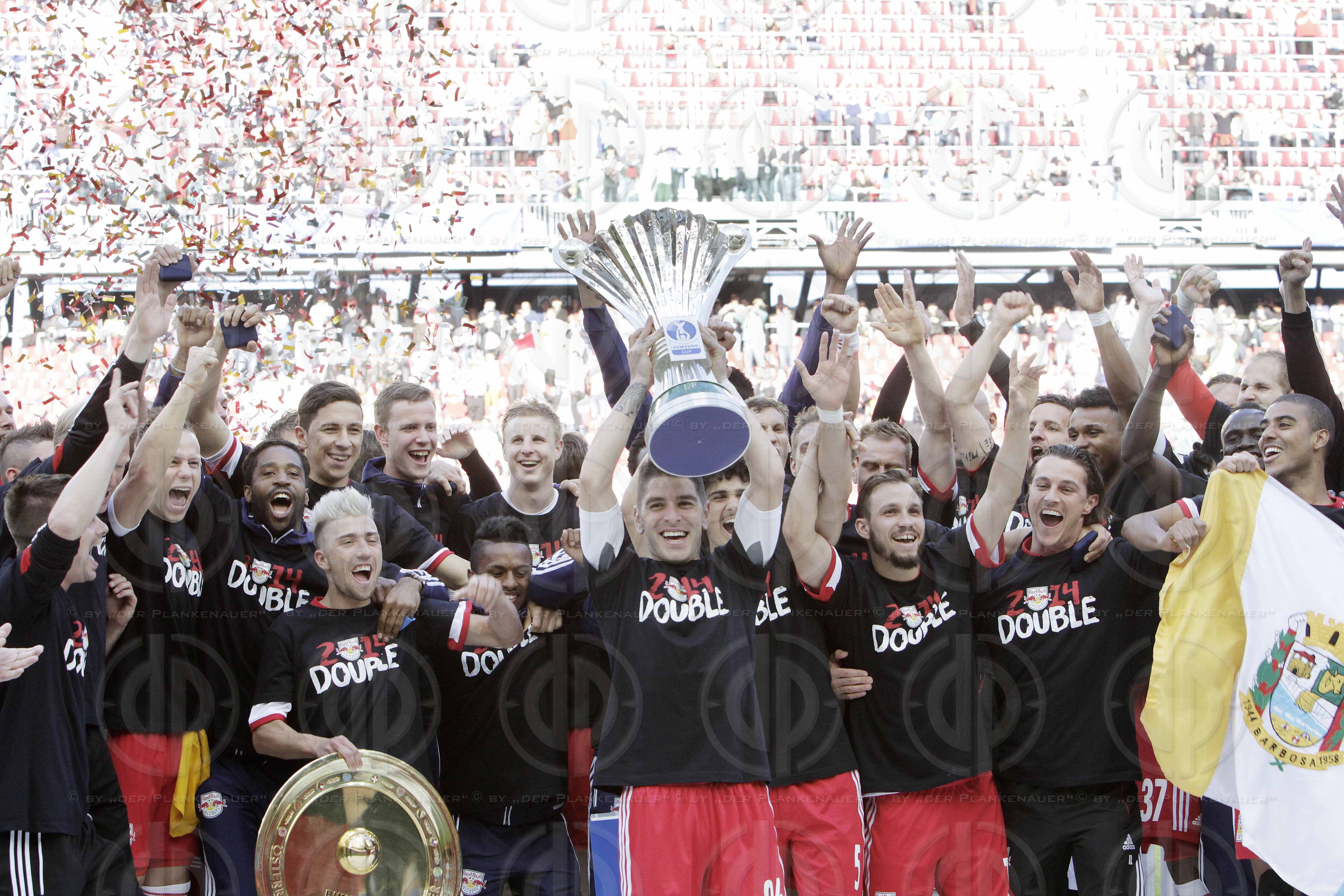 OEFB Samsung Cup Finale 2014