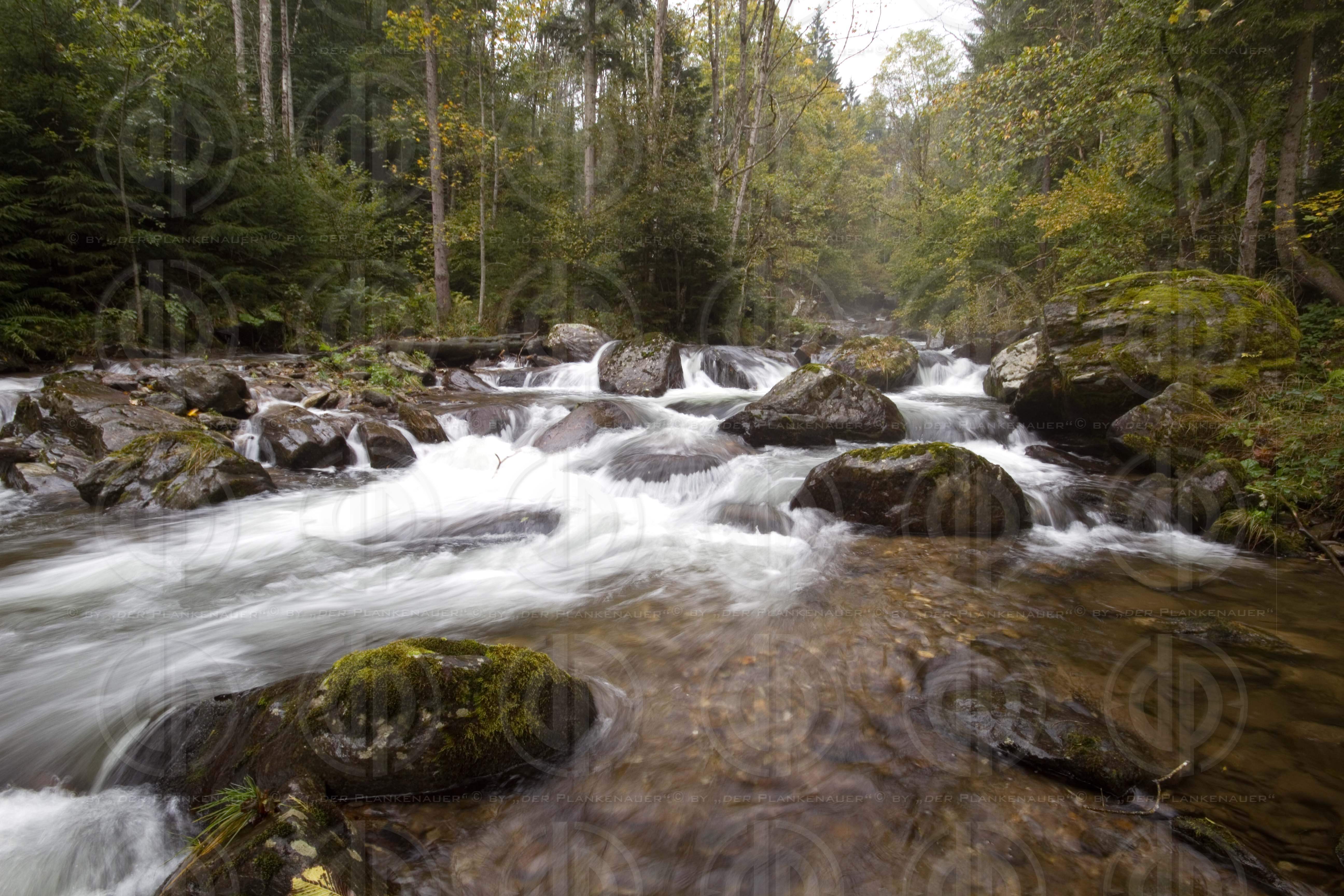 Steirisches Naturdenkmal schwarze Sulm