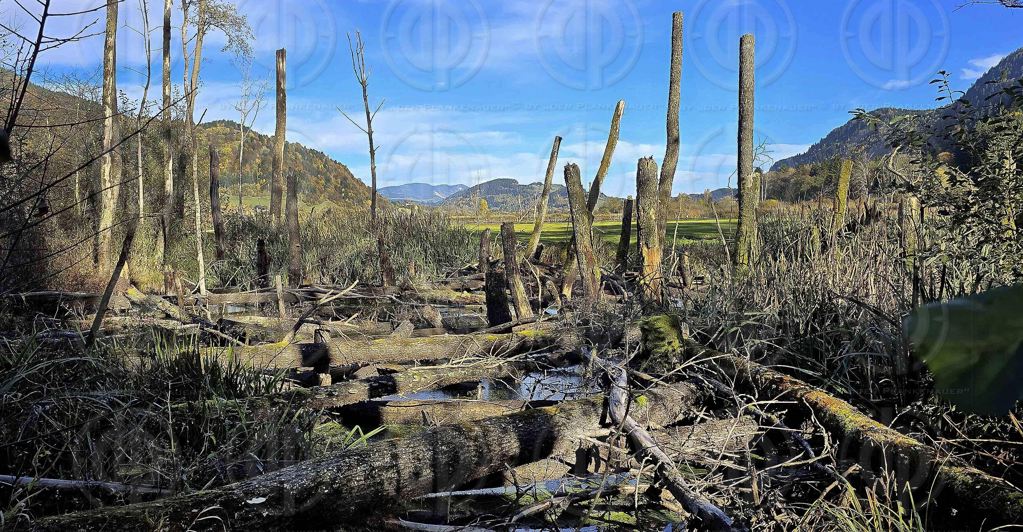 Slow Trail am Bleistätter Moor