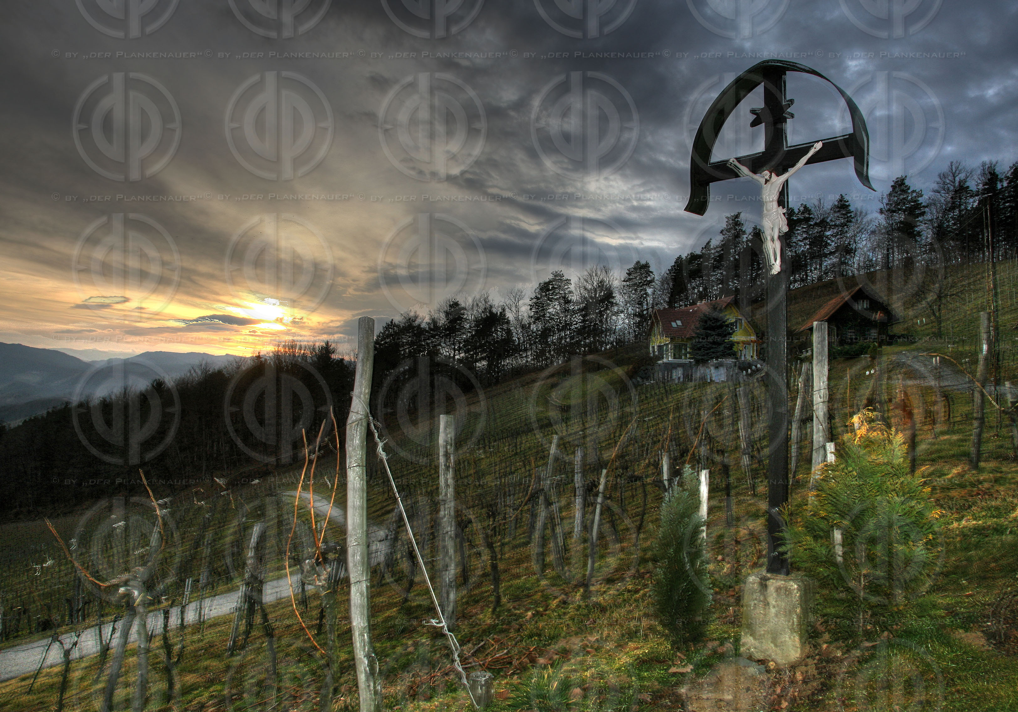 Sonnenuntergang im Weinland