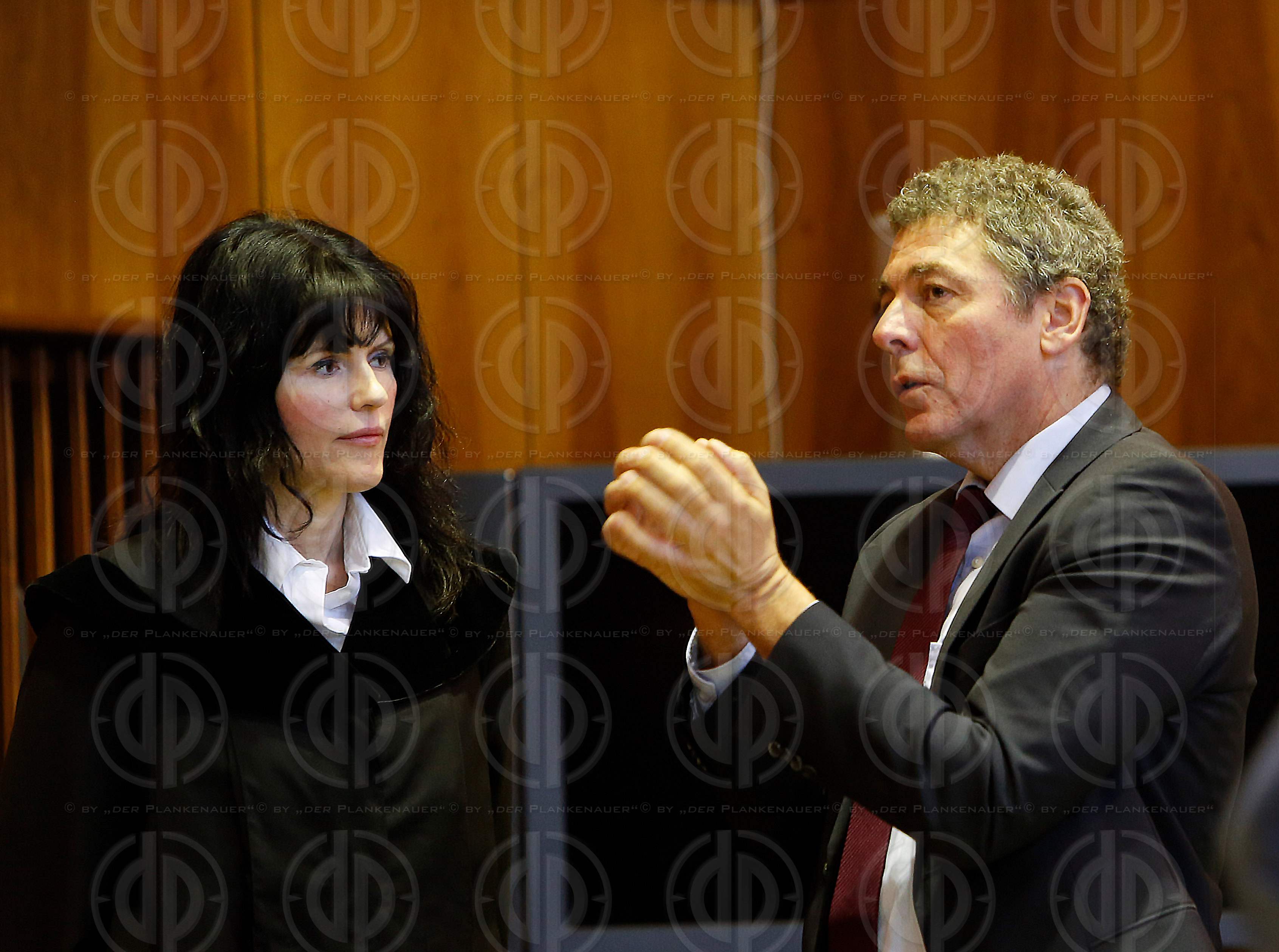 Schwurgerichtsprozess Amokfahrer Alen R.