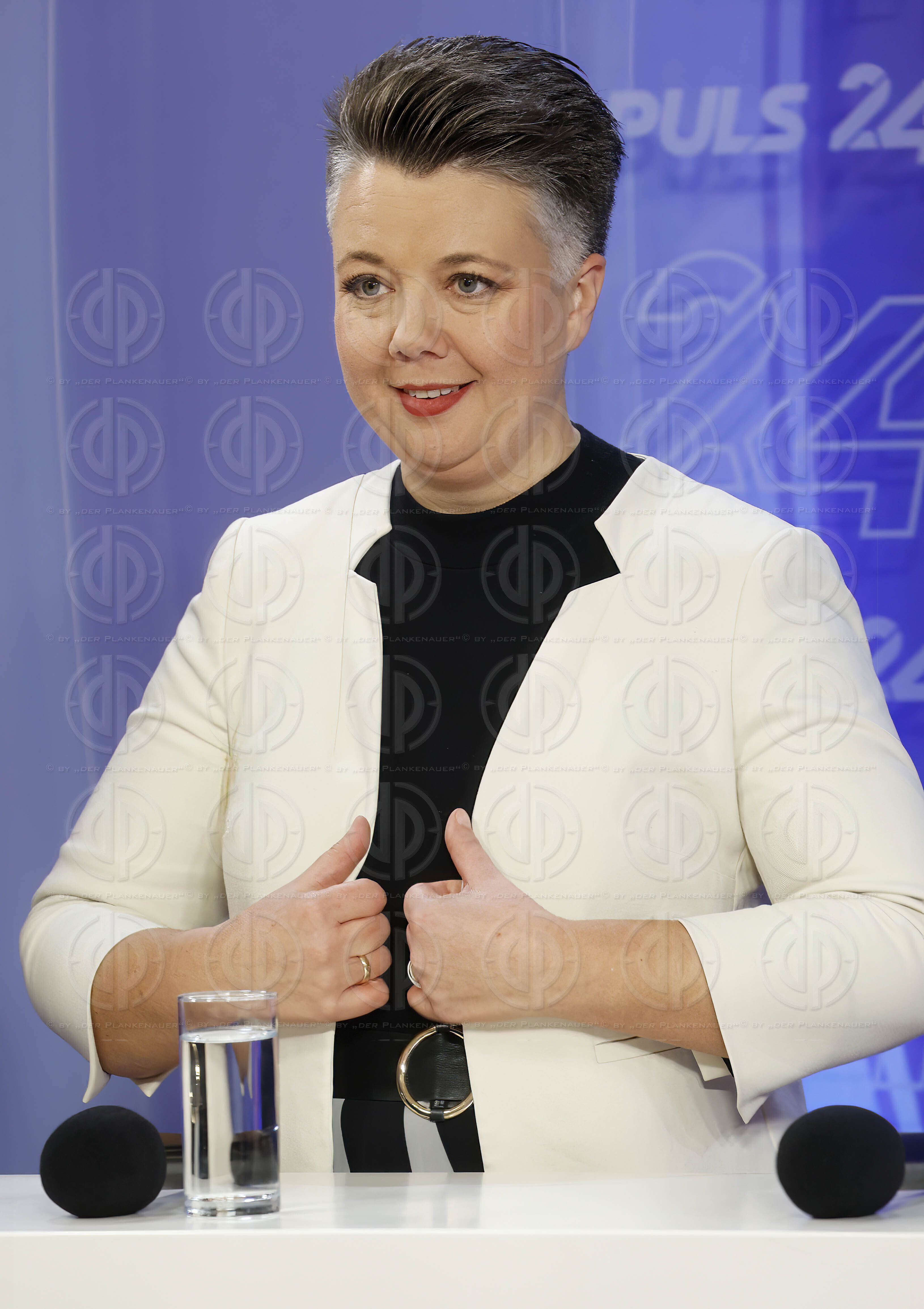 Landtagswahl Steiermark am 24.11.2024