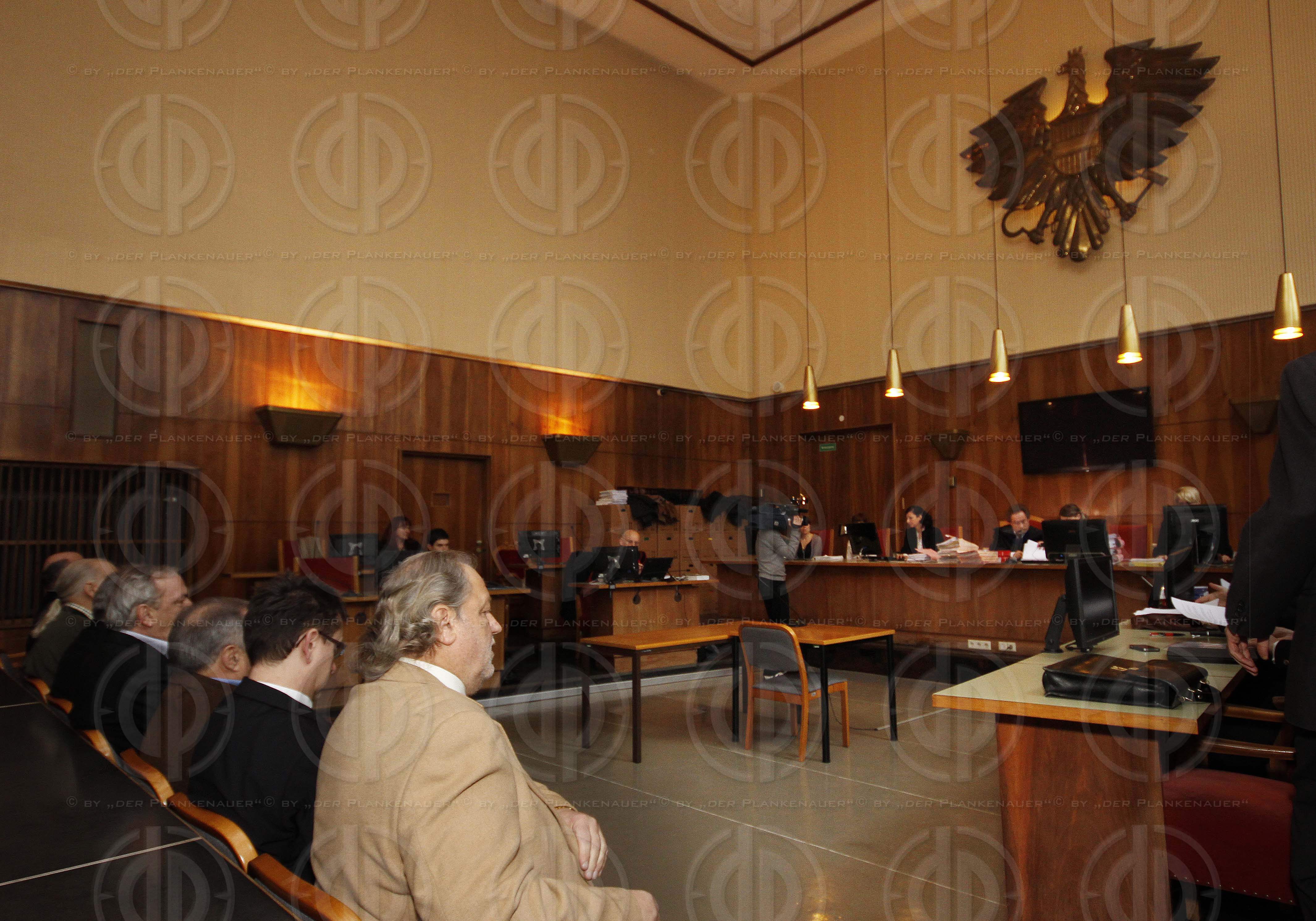 Strafverfahren gegen Hannes KARTNIG u.a.