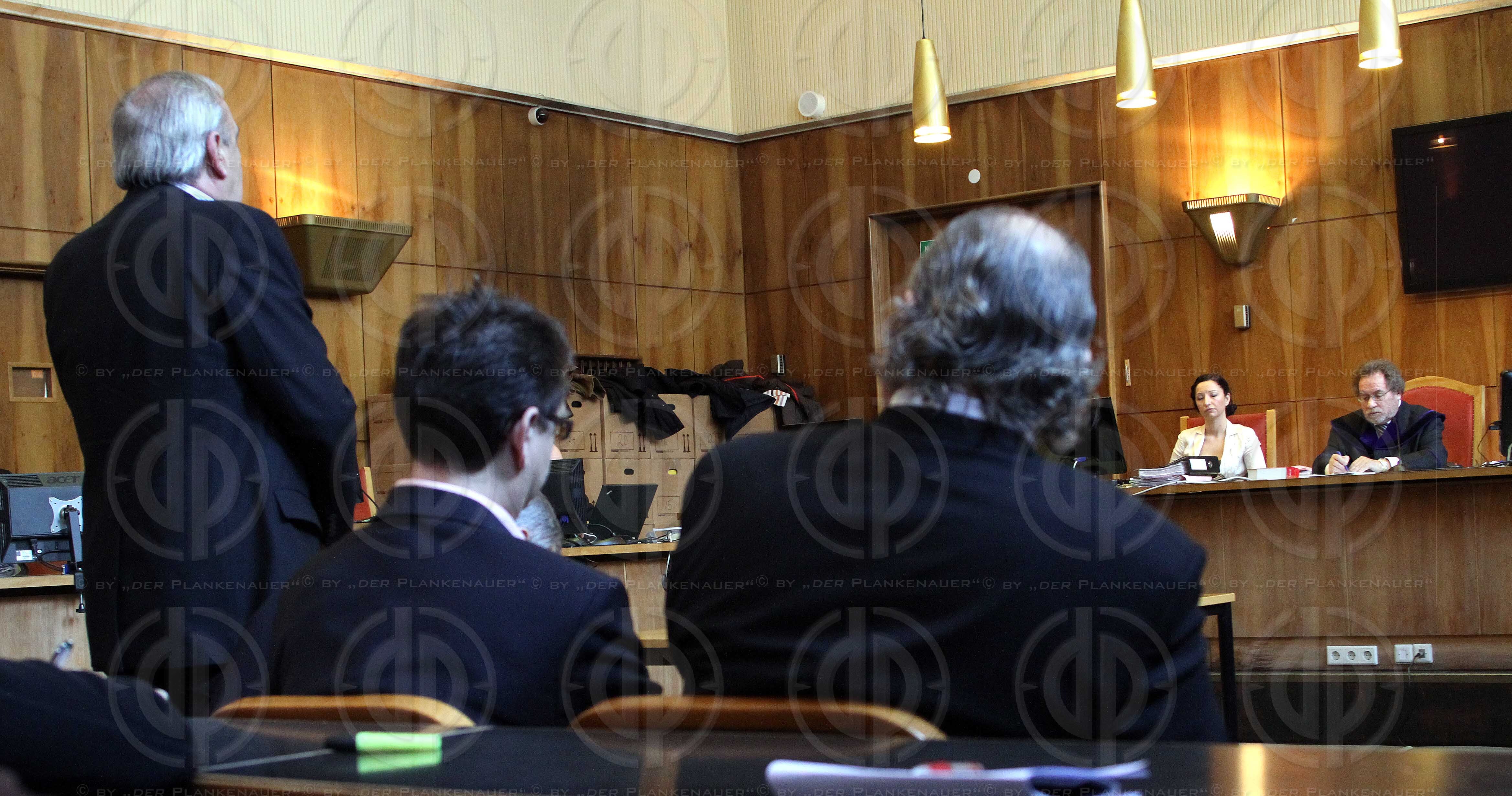 Strafverfahren gegen Hannes KARTNIG u.a.