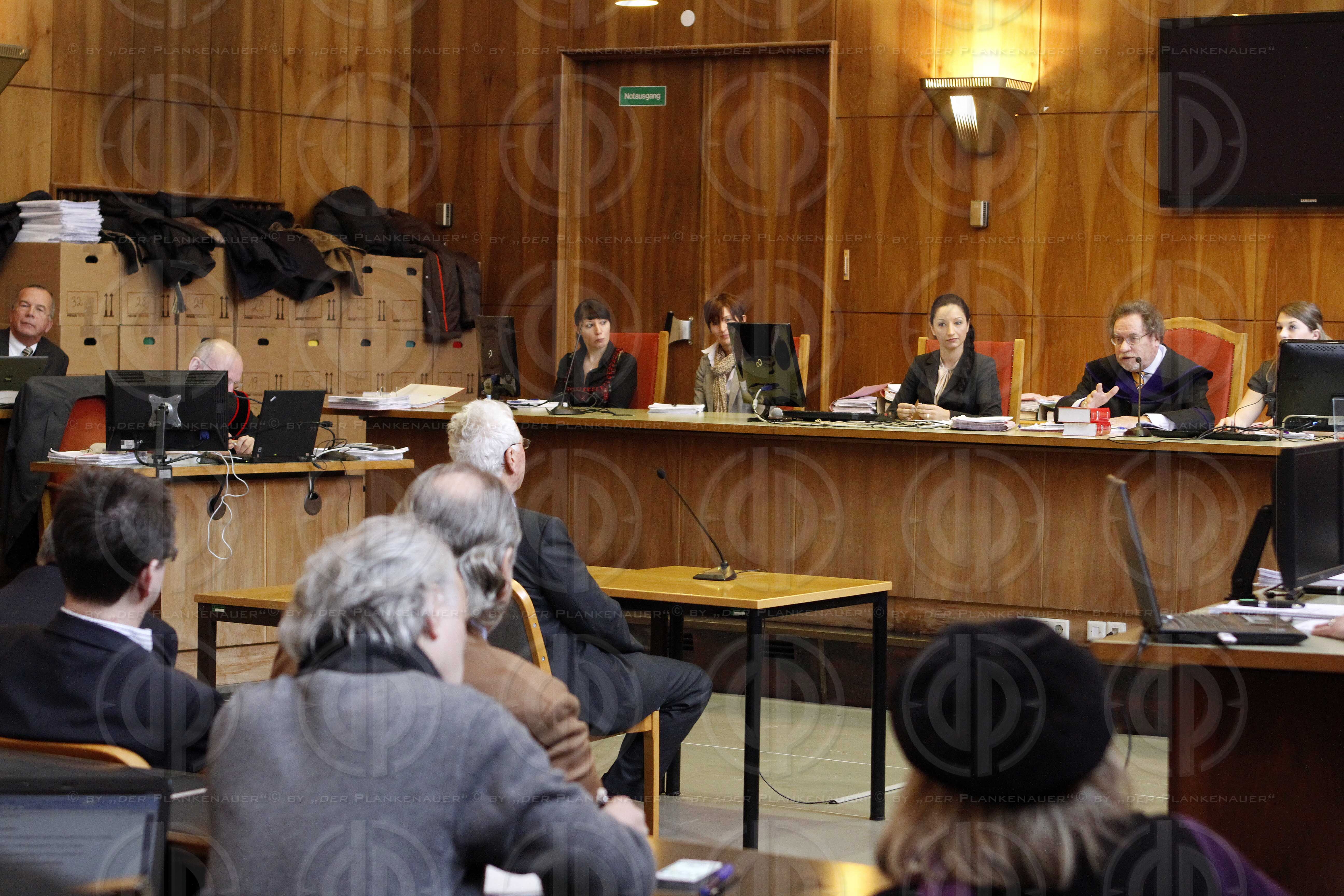 Strafverfahren gegen Hannes KARTNIG u.a.