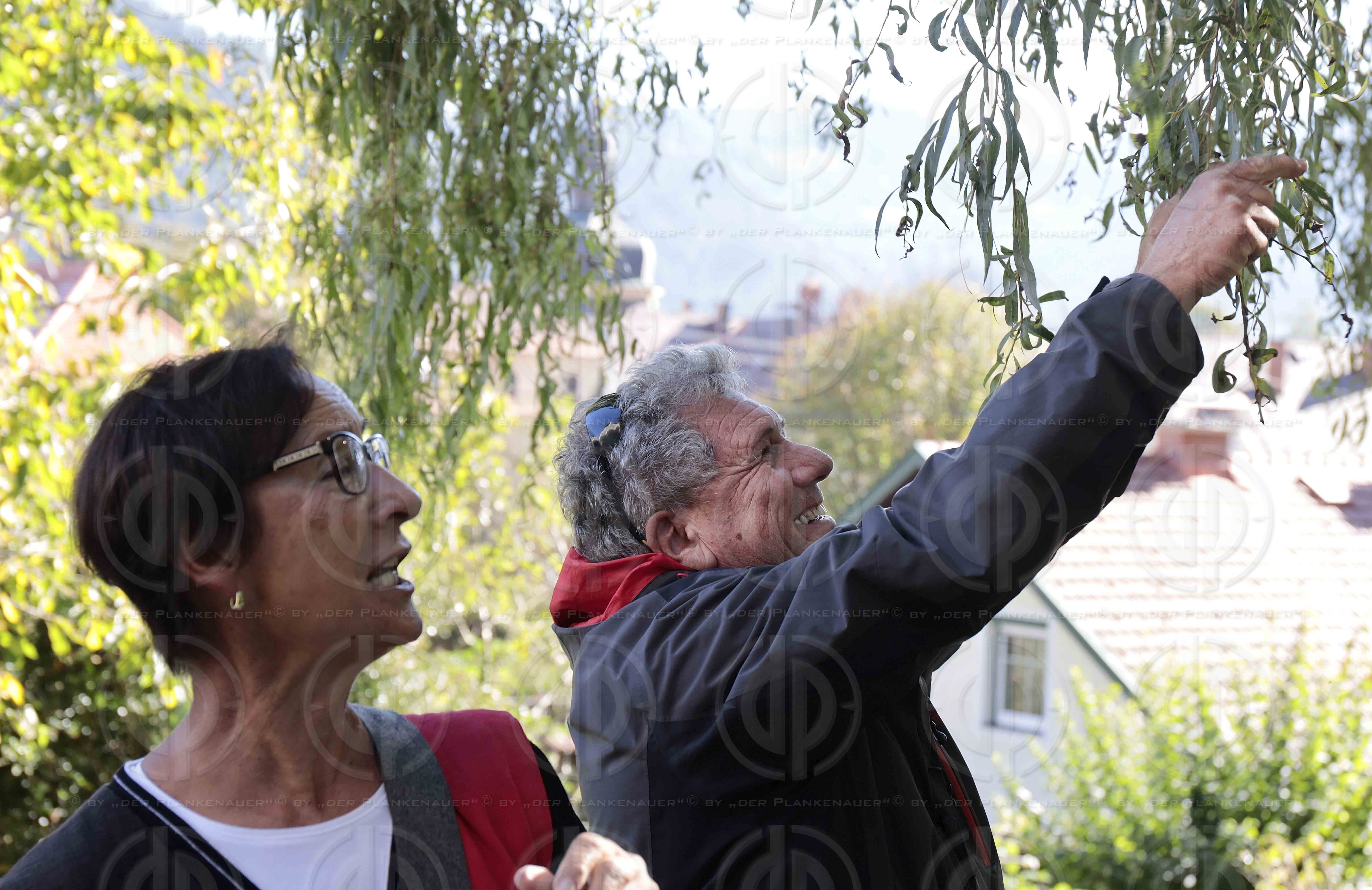 Treffen anlässlich 50 Jahre Matura an der HTL-Villach