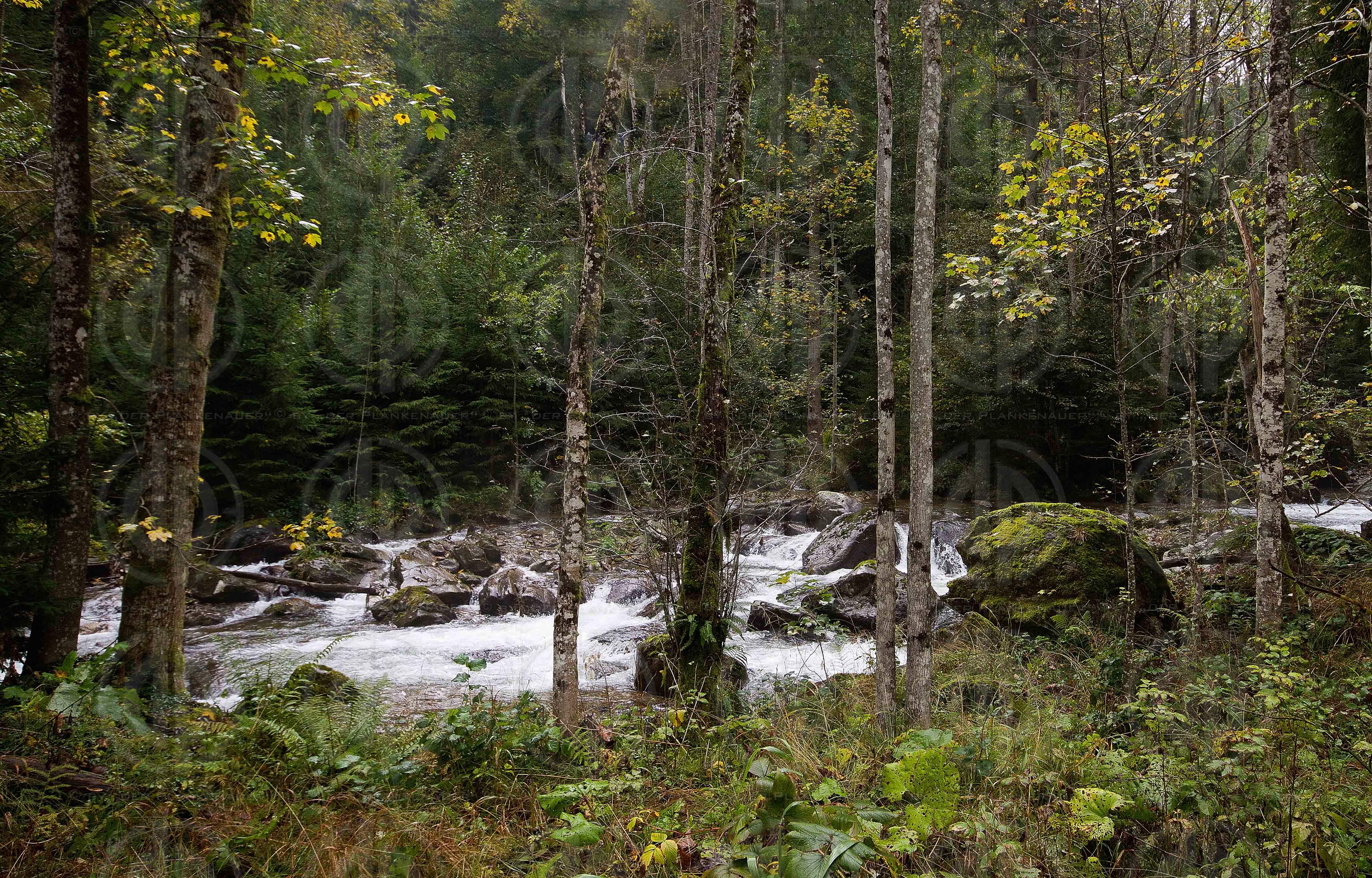Steirisches Naturdenkmal Schwarze Sulm