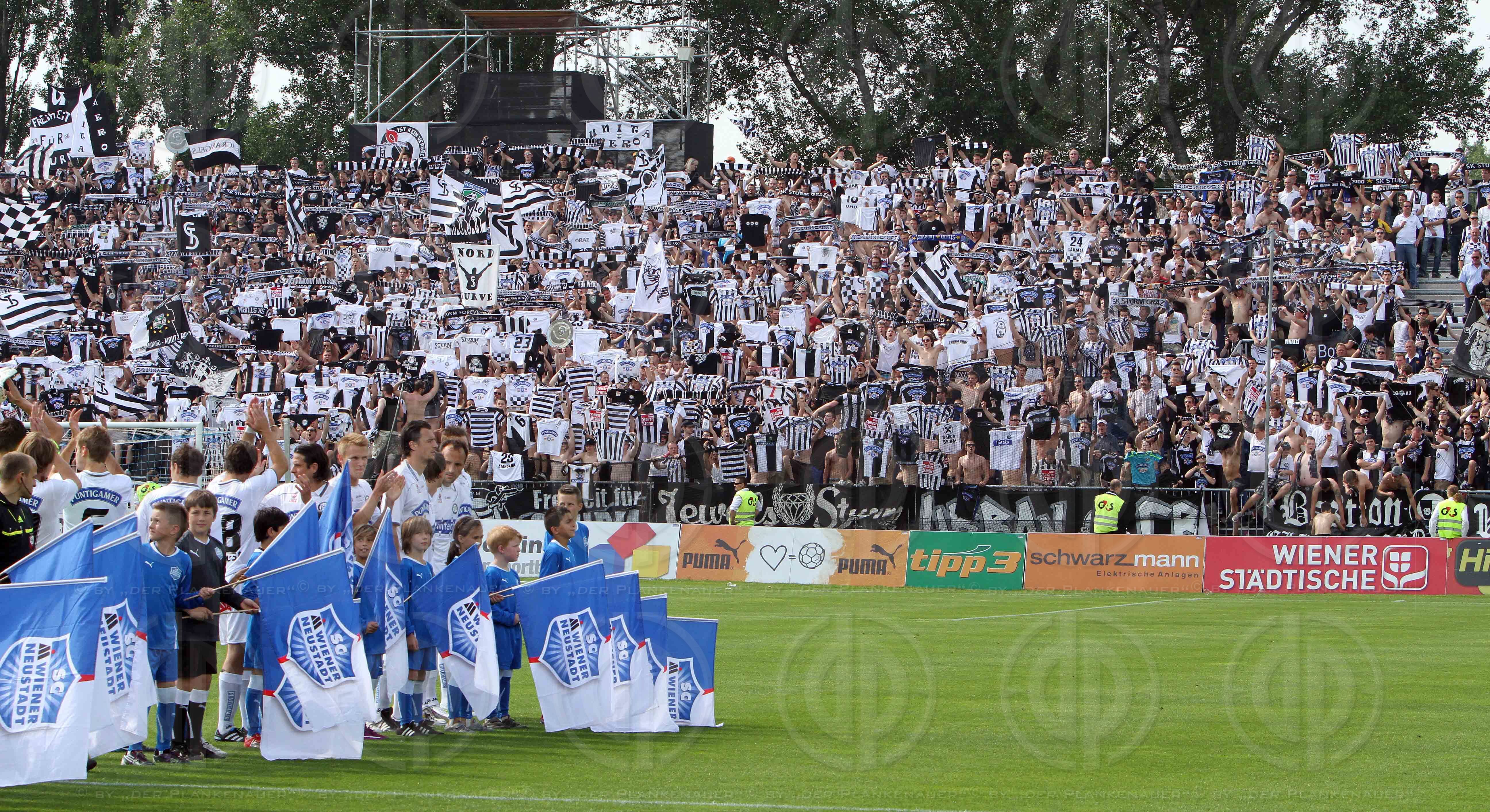 SC Magna Wiener Neustadt vs. SK Sturm Graz