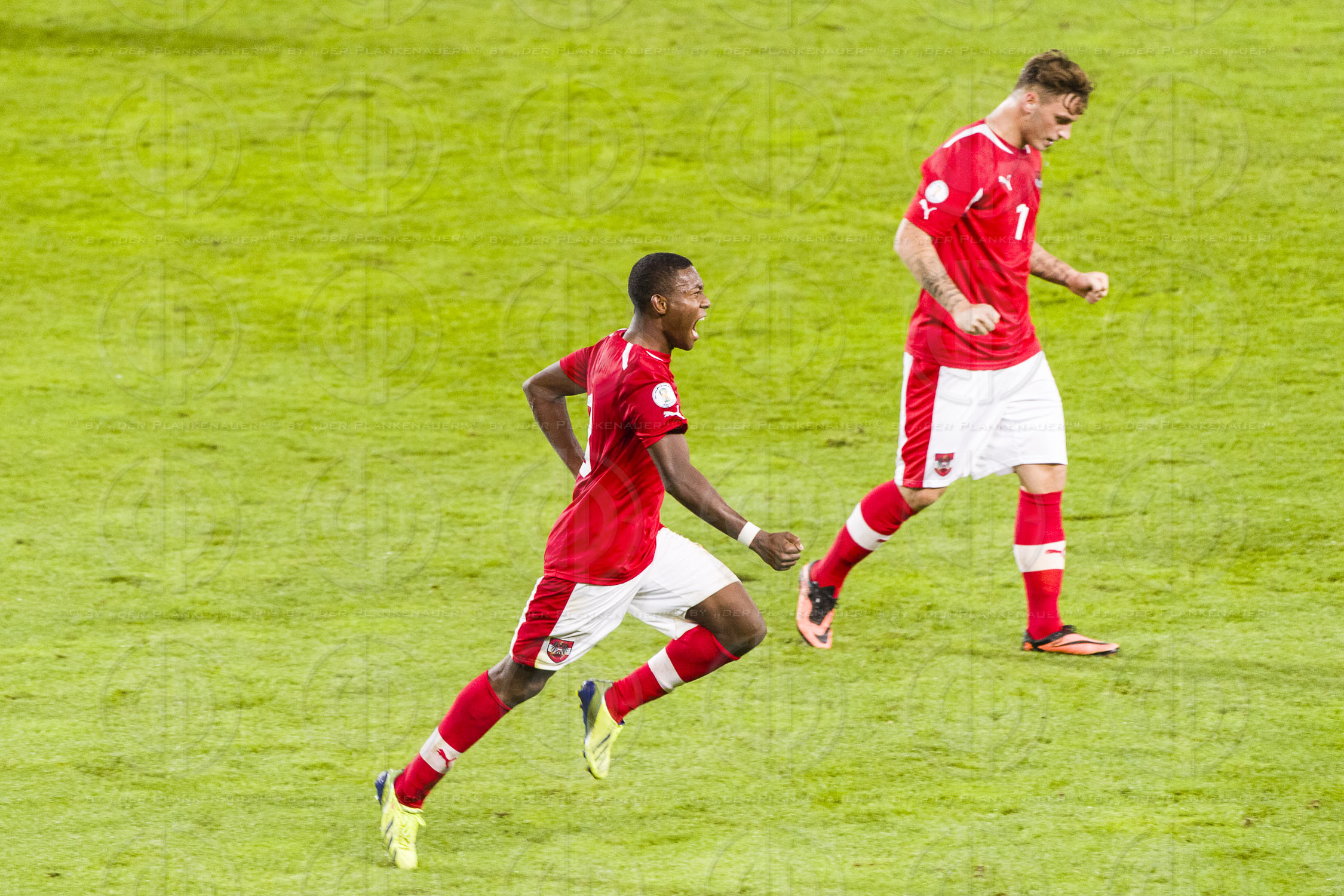 WM-Qualifikation Österreich vs. Irland (1:0)