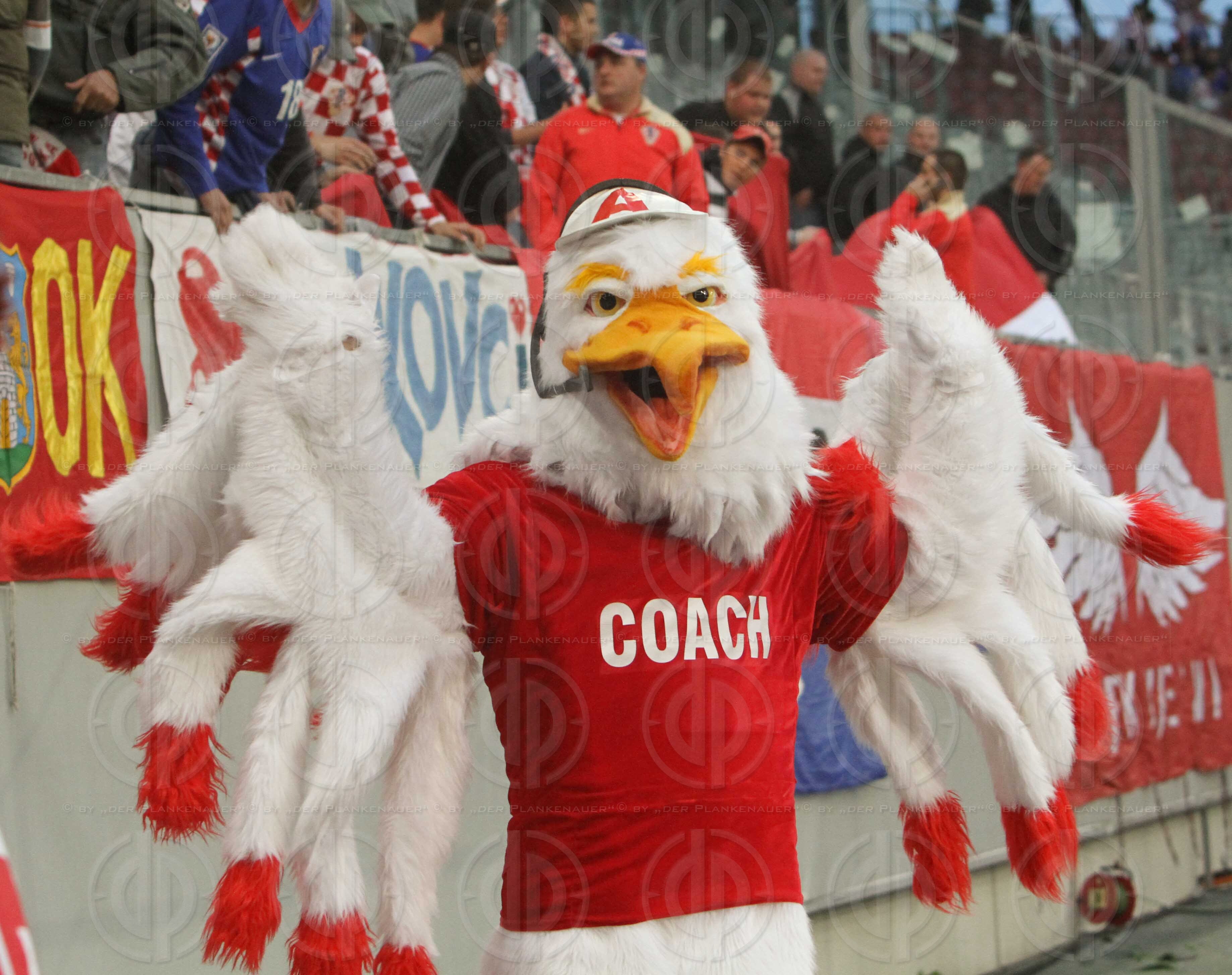 Österreich vs. Kroatien (0:1)