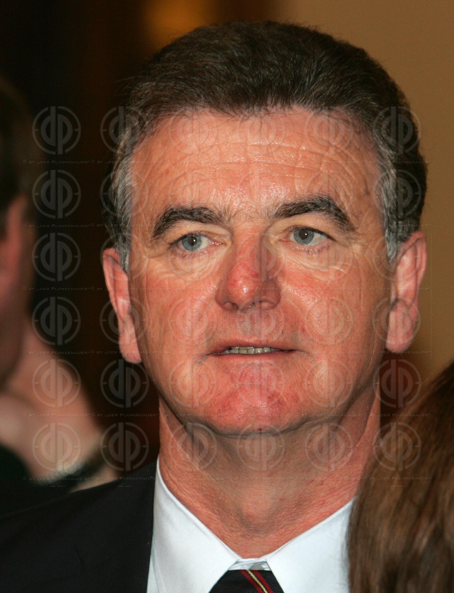 Konstitution des Steiermärkischen Landtages