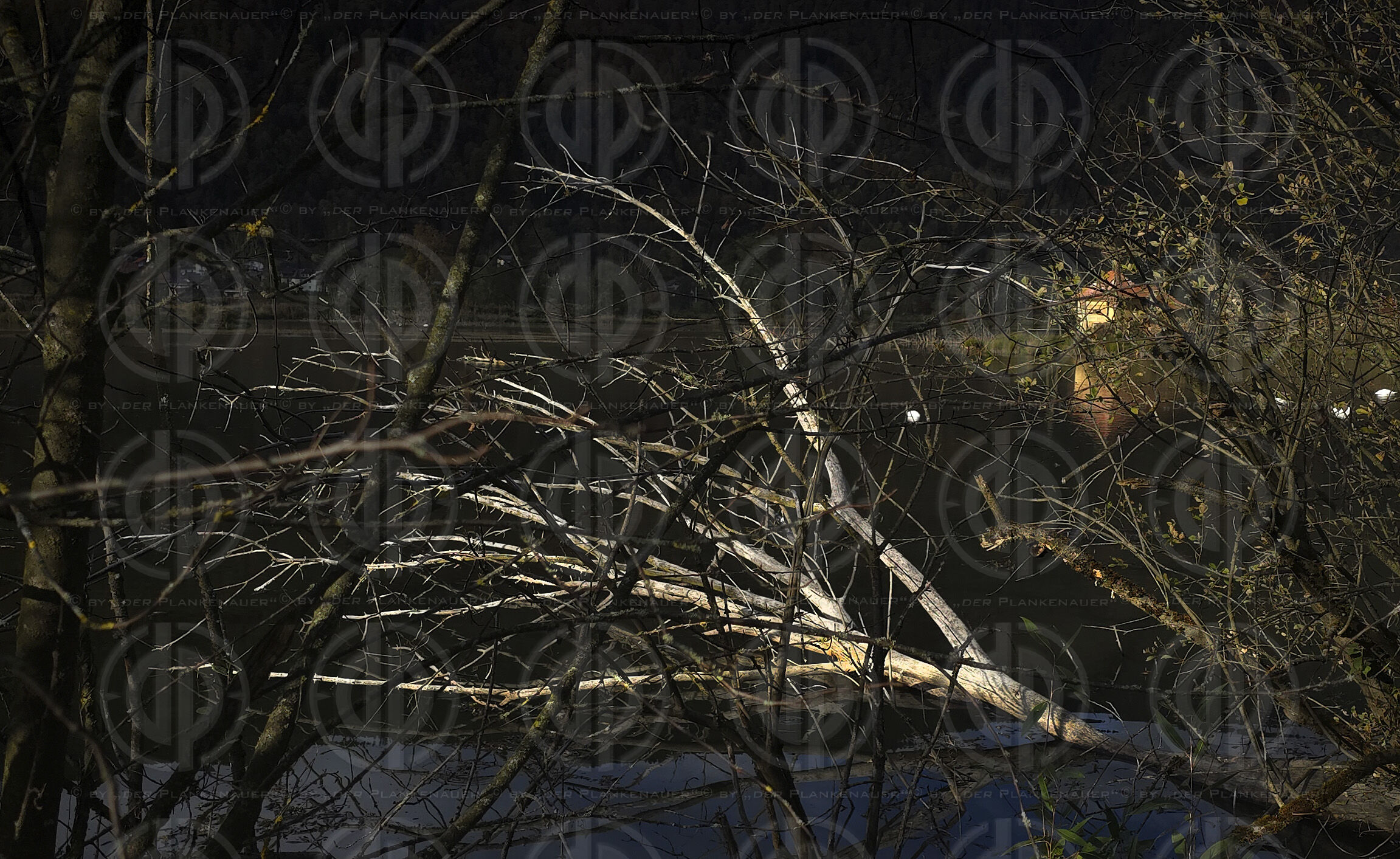 Slow Trail am Bleistätter Moor