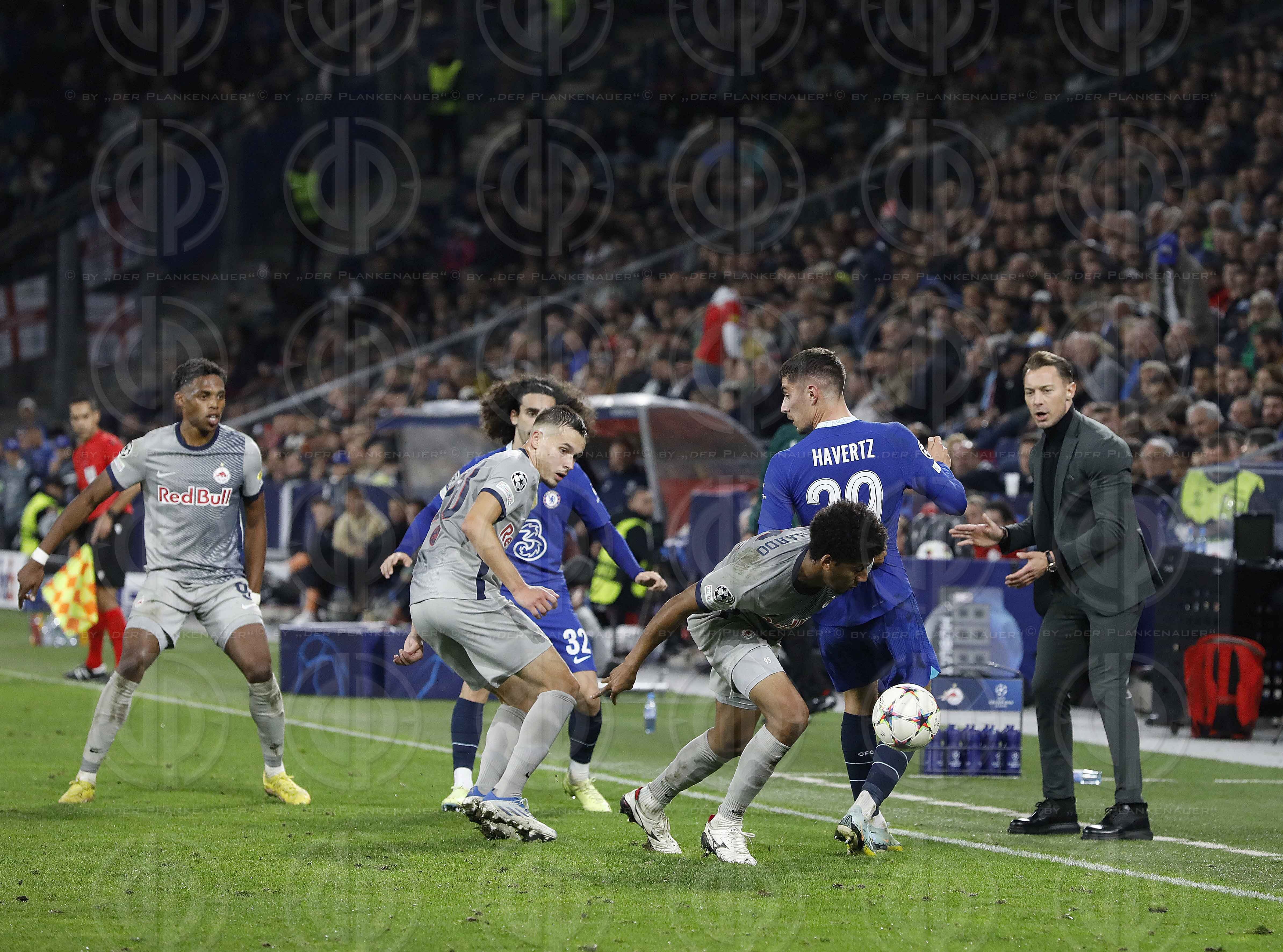 Champions League FC Salzburg vs. Chelsea FC (1:2) am 25.10.2022