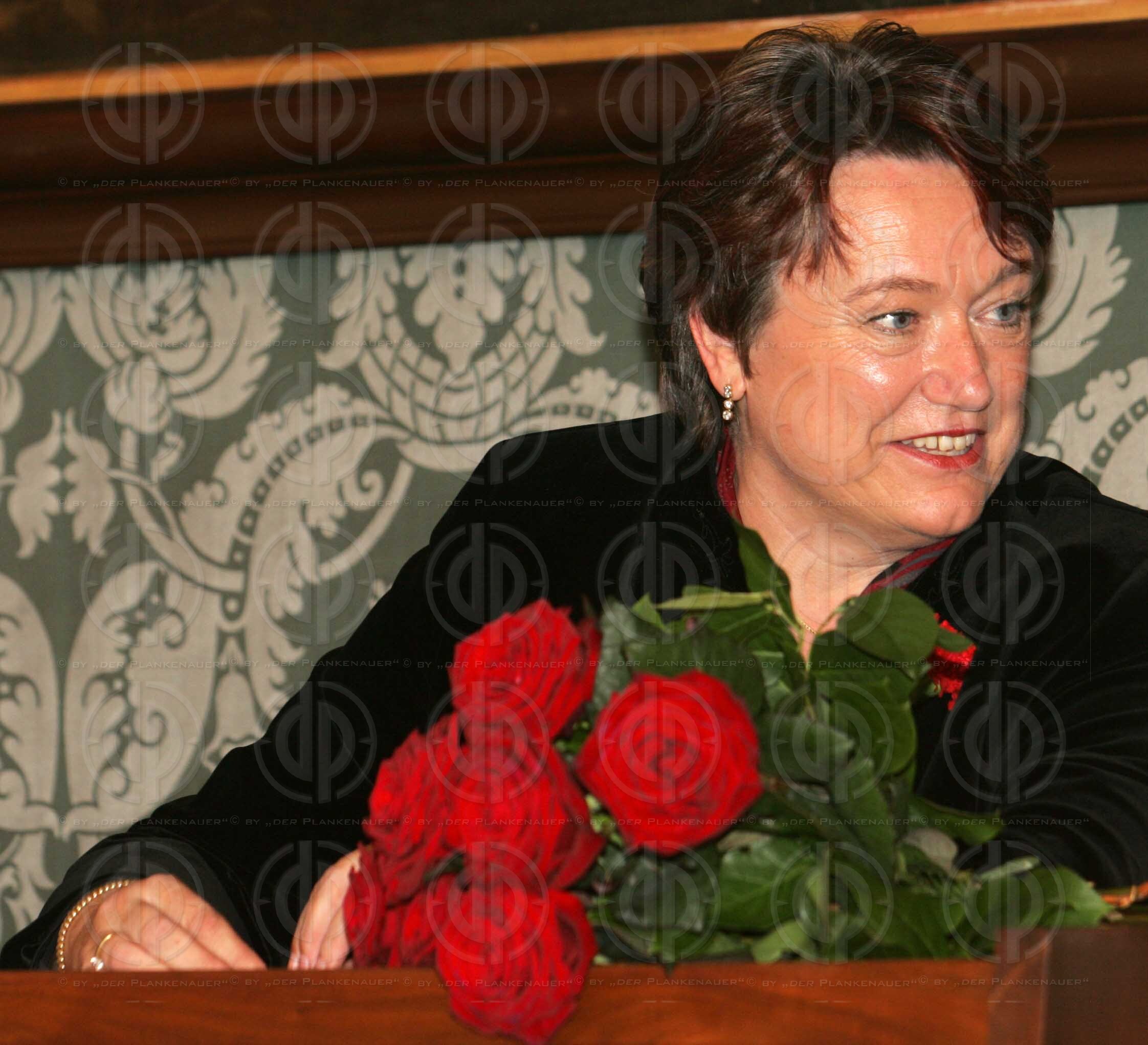 Konstitution des Steiermärkischen Landtages