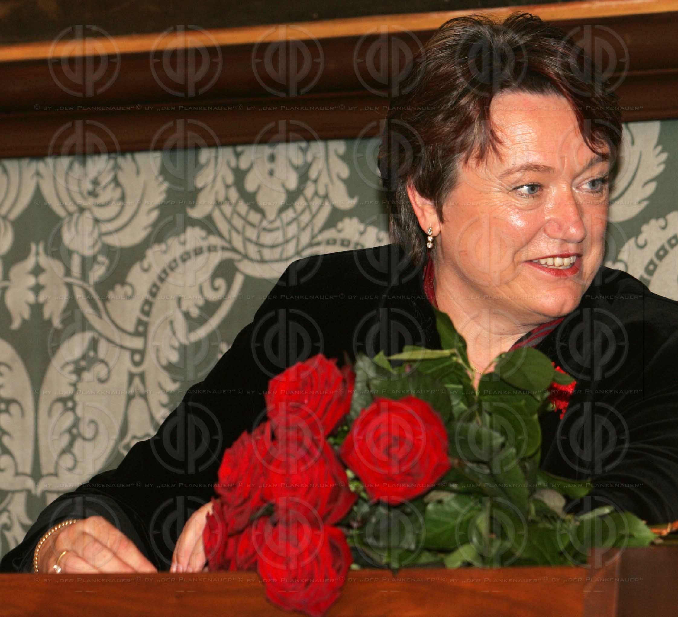 Konstitution des Steiermärkischen Landtages