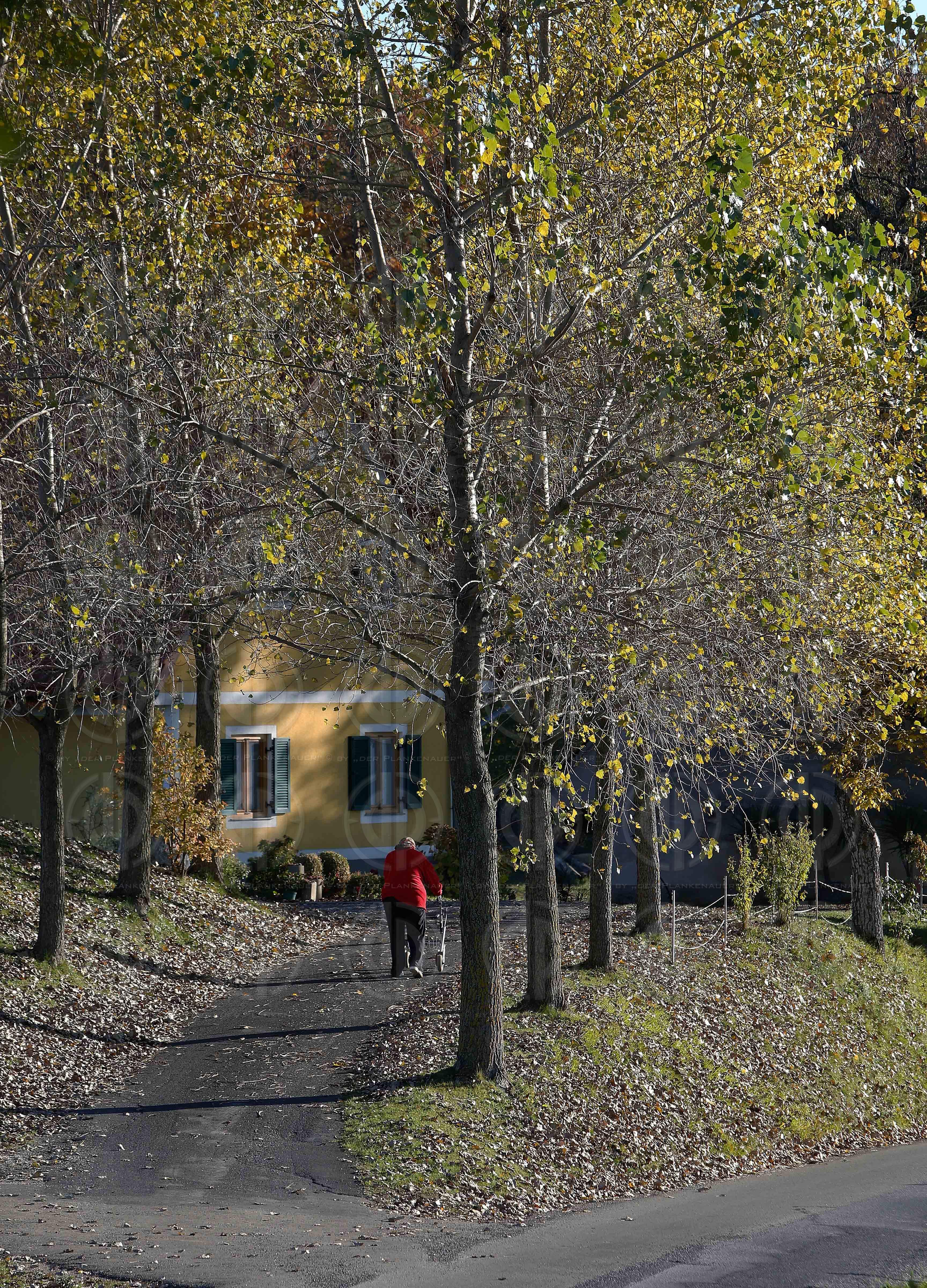 Steirische Landschaften
