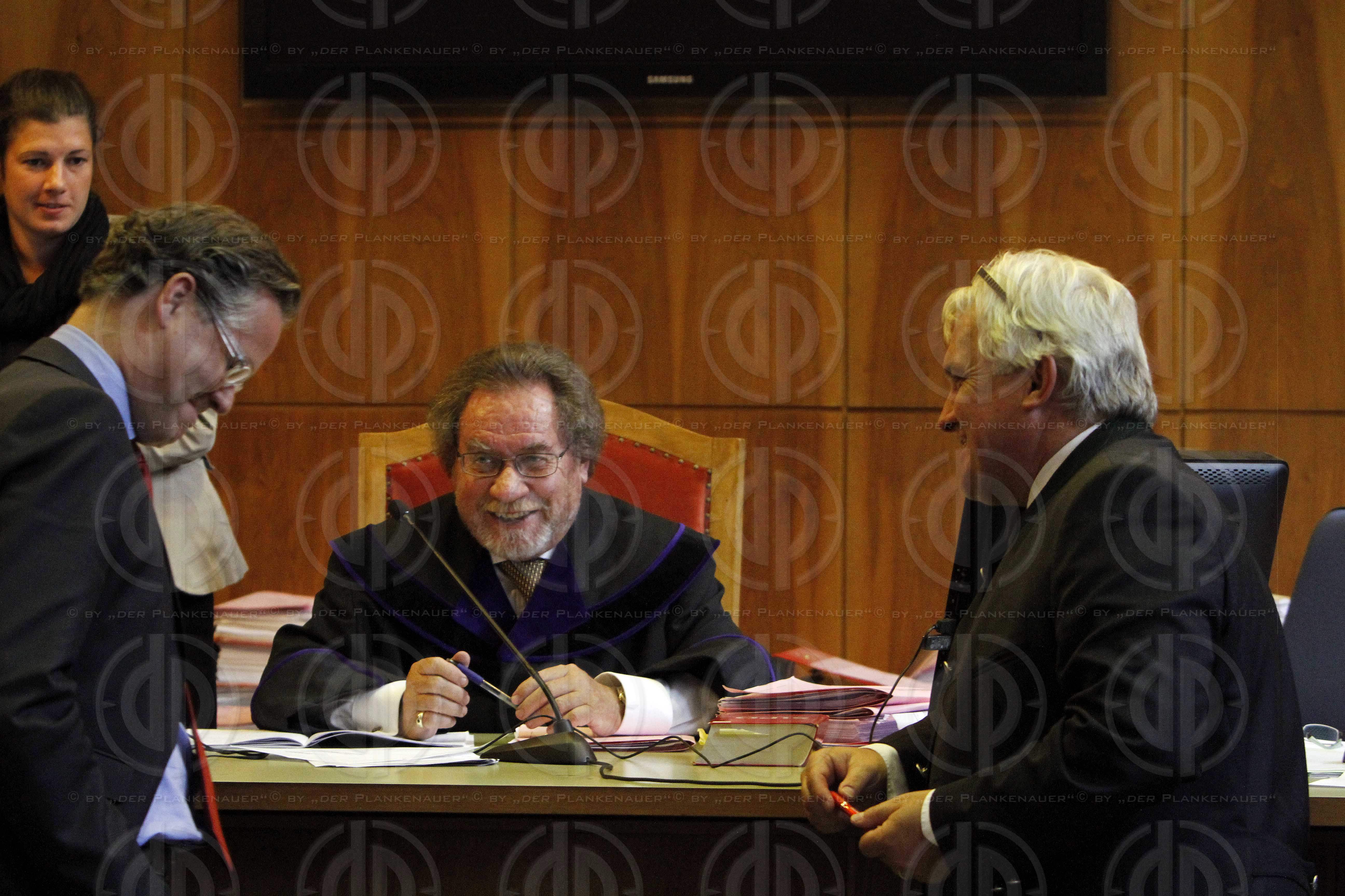 Strafverfahren gegen Hannes KARTNIG u.a.