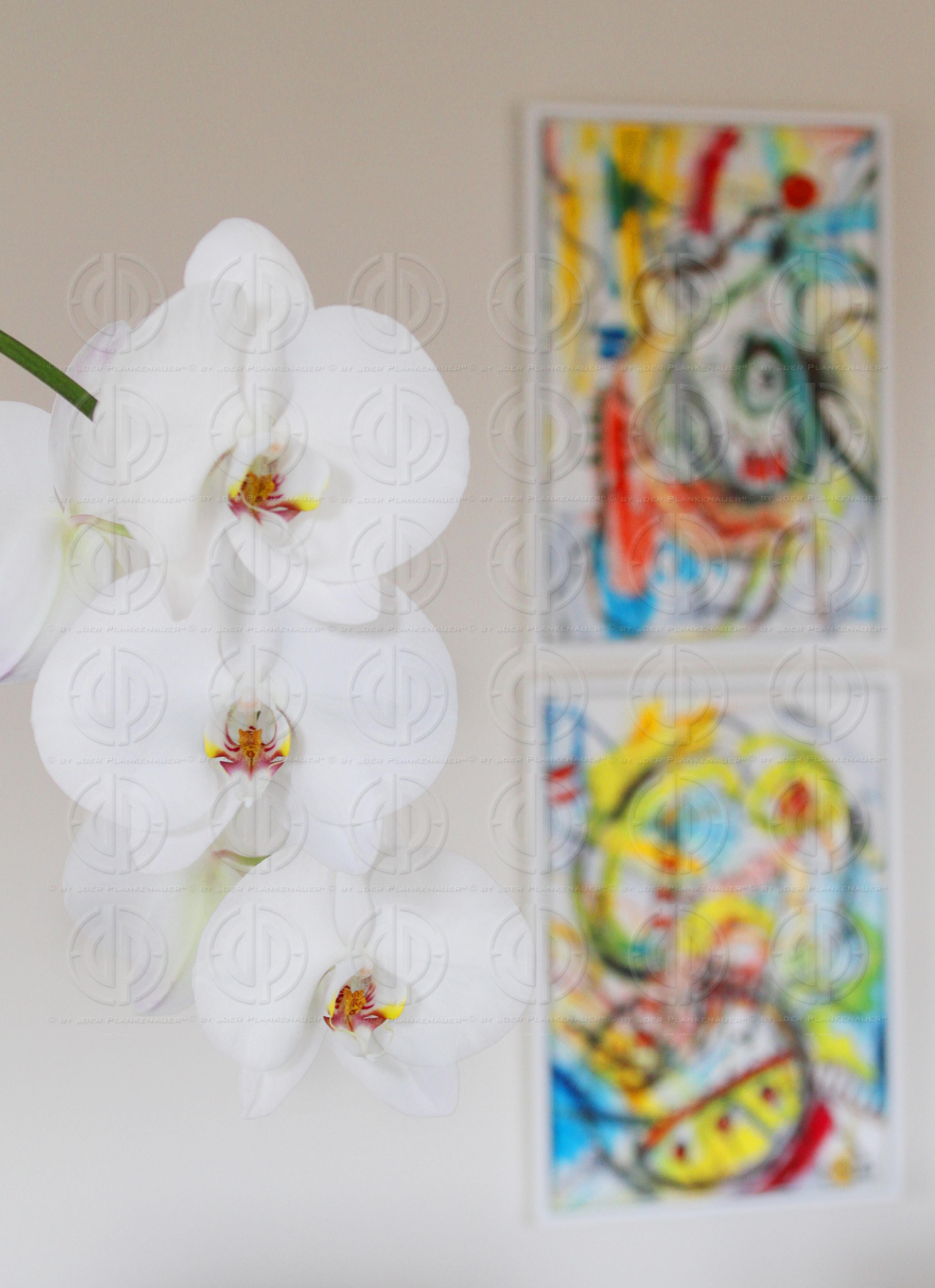 Rechtsanwälte Dr. Christandl und Partner