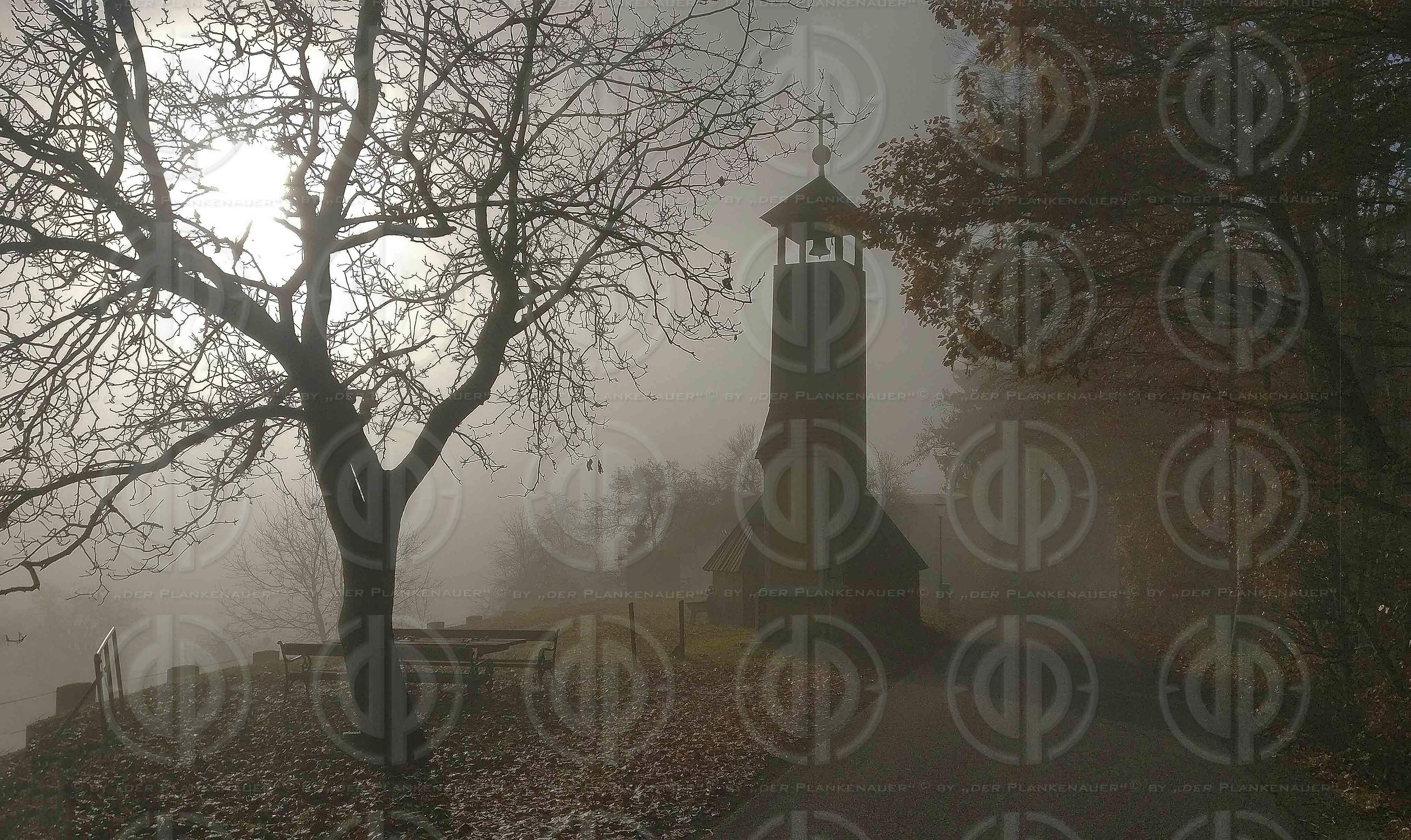 Sonntagslauf im Nebel am 21.11.2021