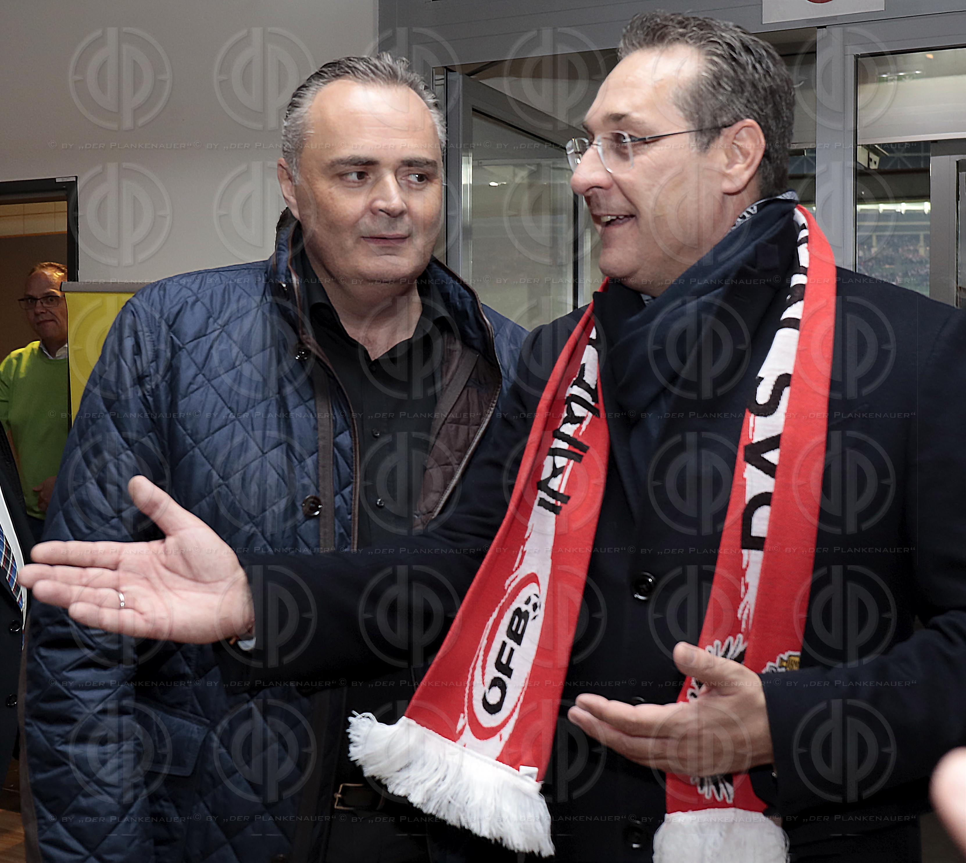 Länderspiel EM-Q. Österreich vs. Polen (0:1)