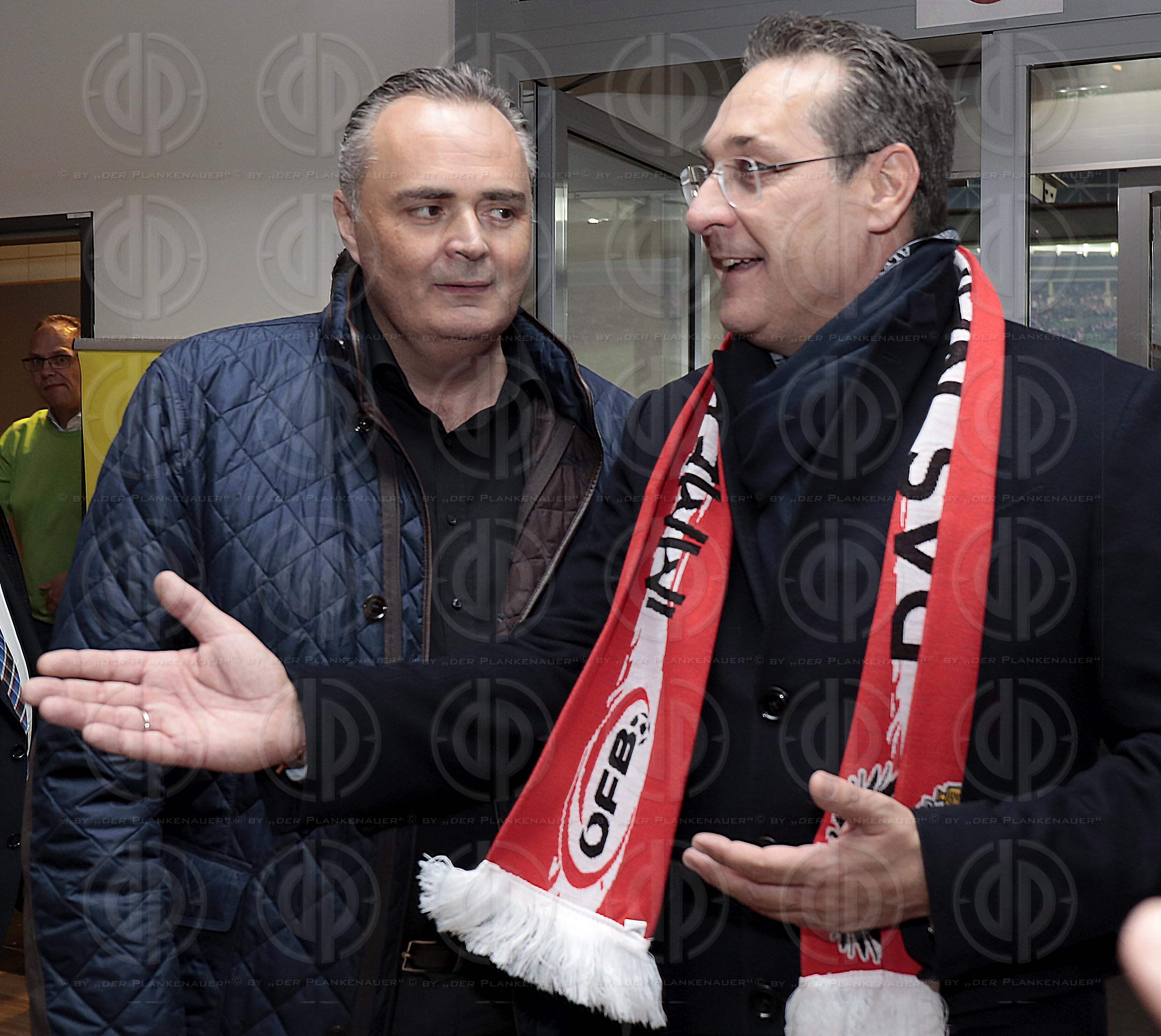 Länderspiel EM-Q. Österreich vs. Polen (0:1)