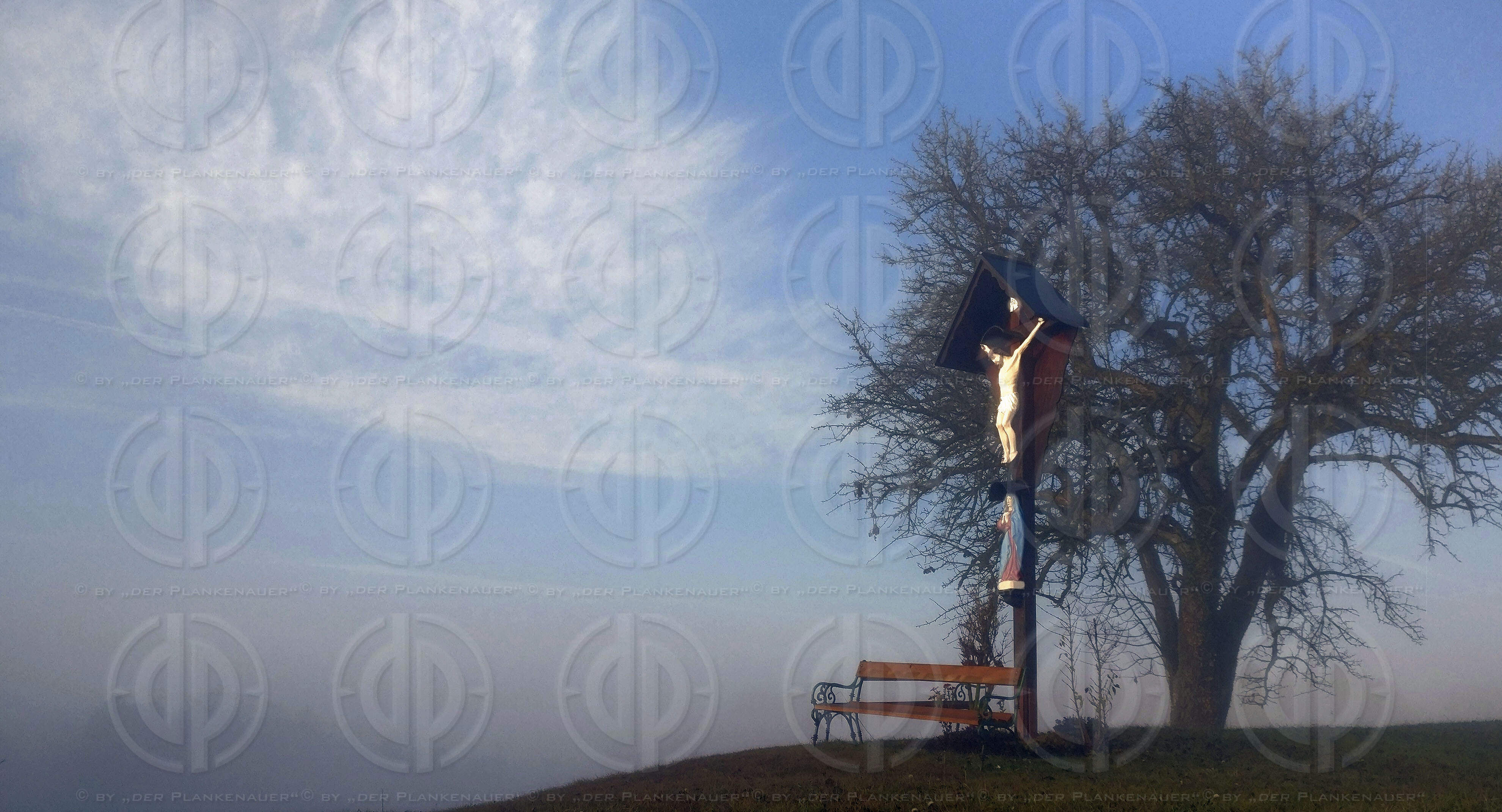 Sonntagslauf im Nebel am 21.11.2021