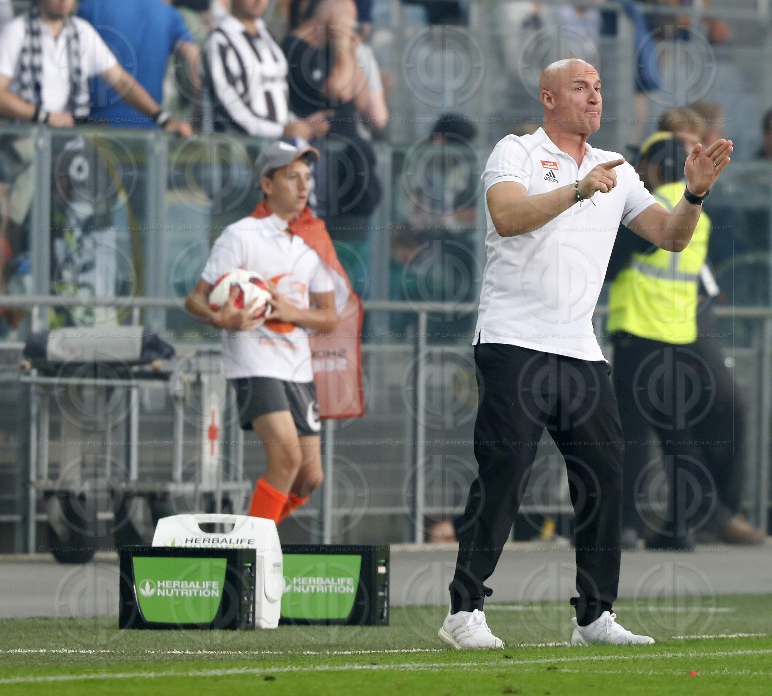 SK Sturm vs. SK Rapid (1:1)