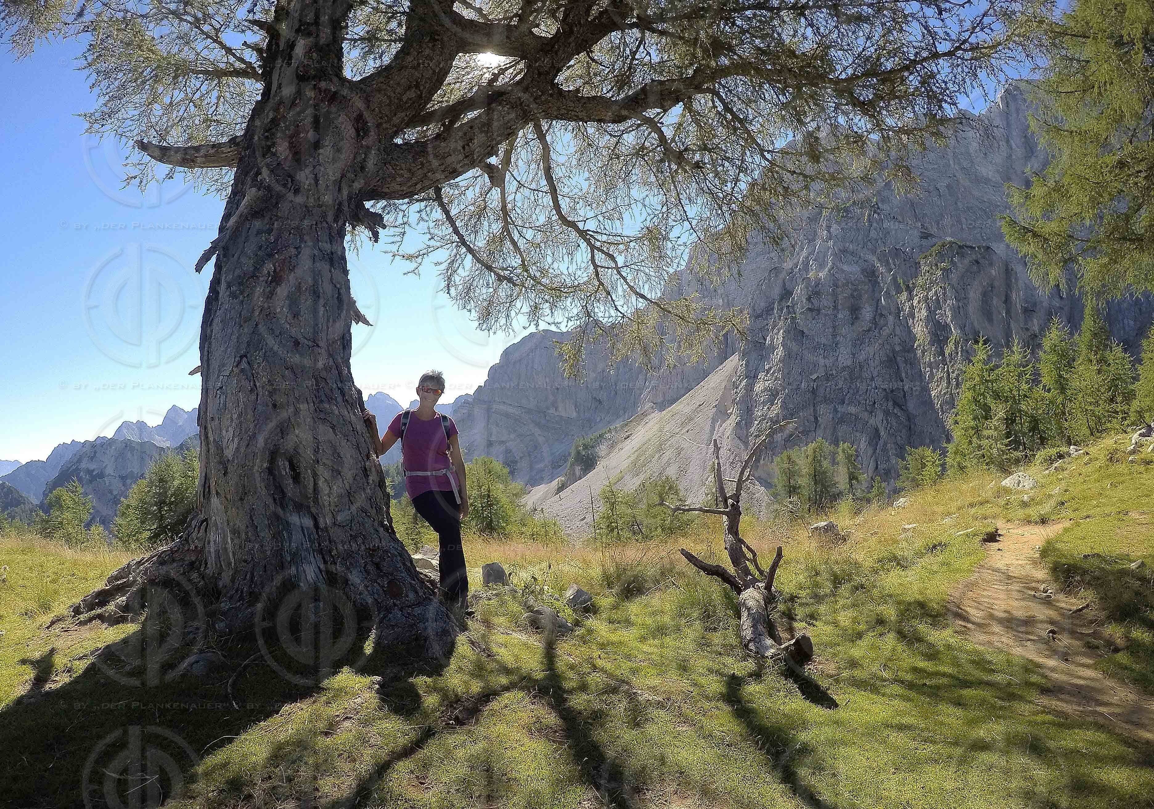 Naturpark Julische Alpen