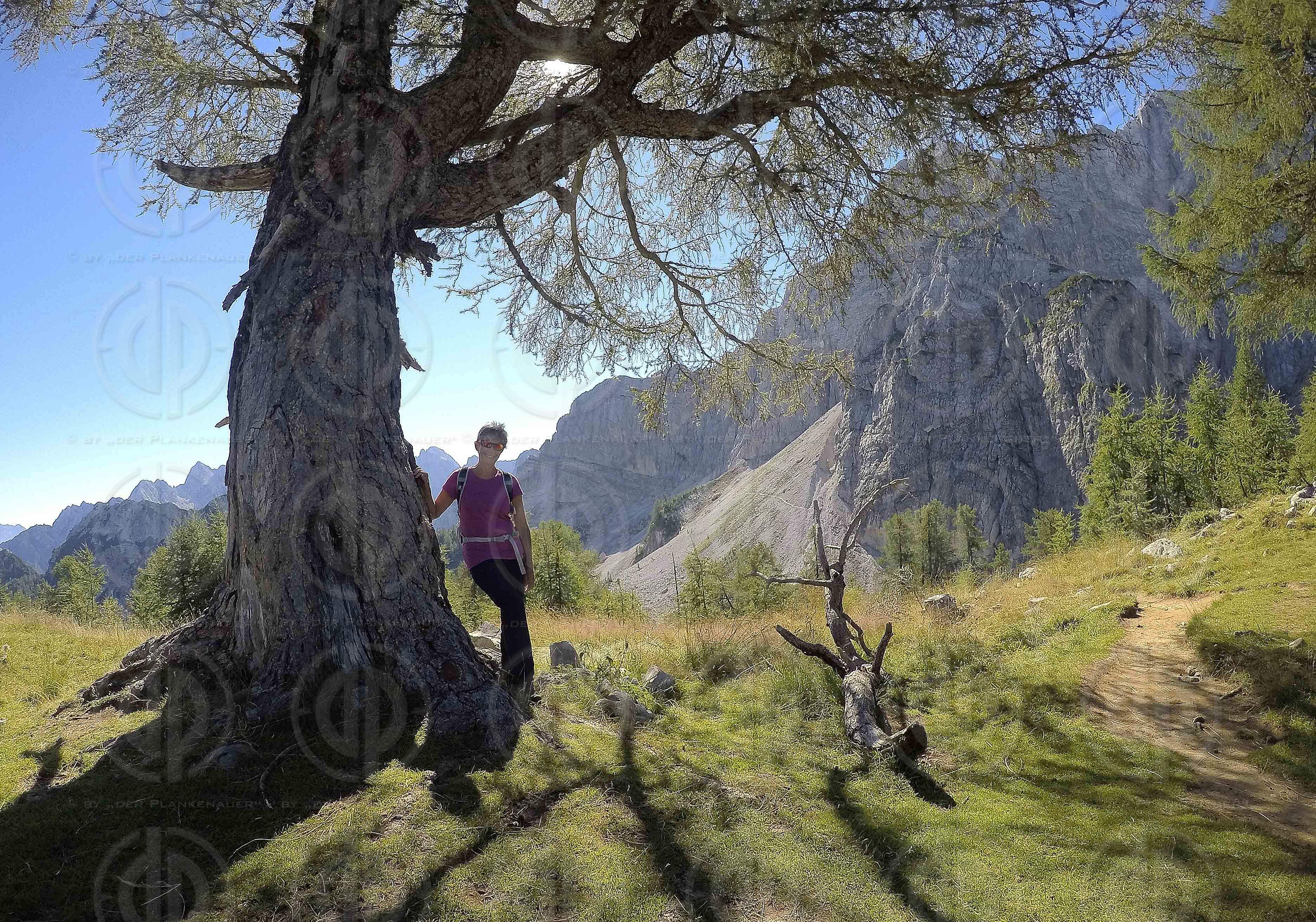 Naturpark Julische Alpen