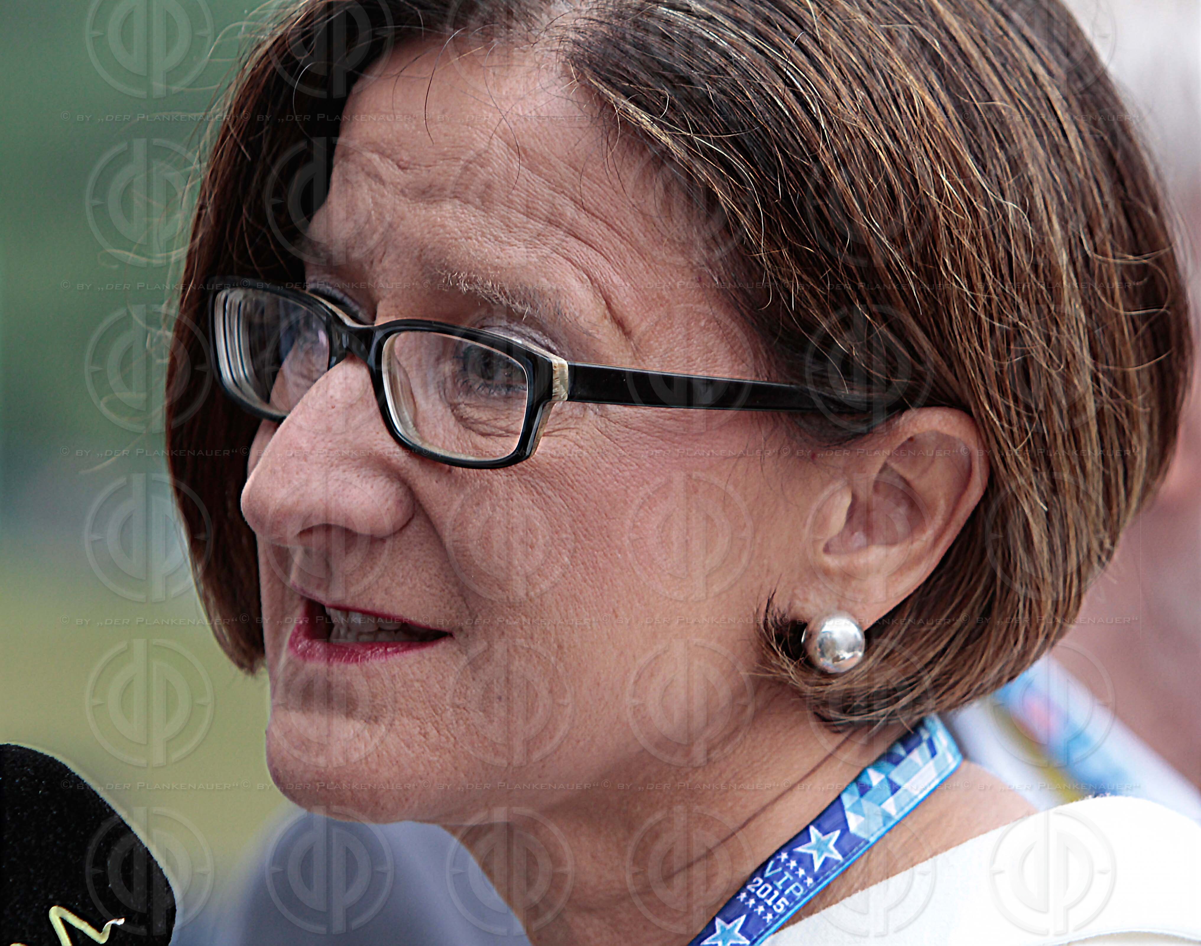 F1 Grosser Preis von Oesterreich 2015