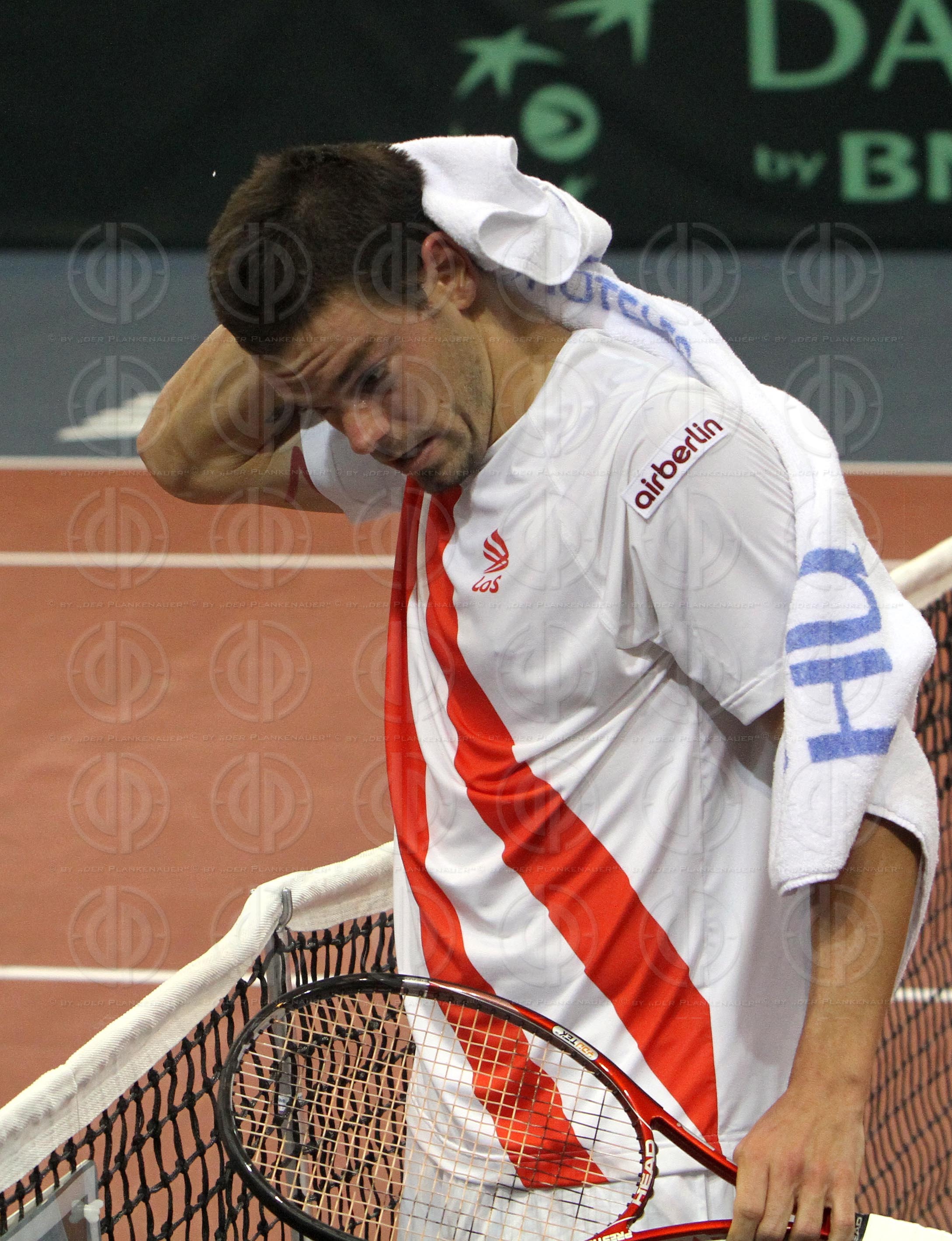 Davis Cup Öesterreich vs. Slowakei