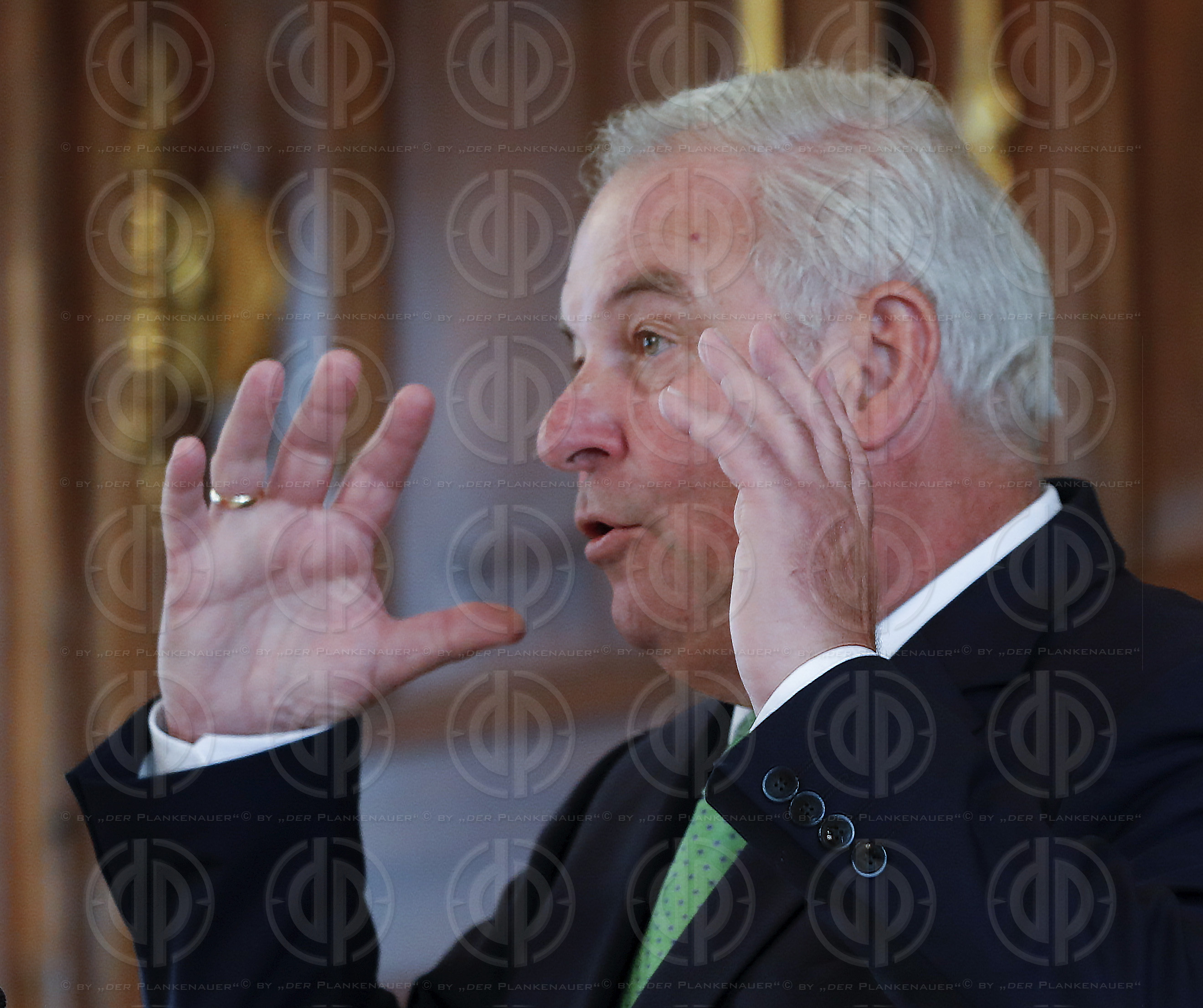 Sonderlandtagssitzung Steiermark - Auflösung