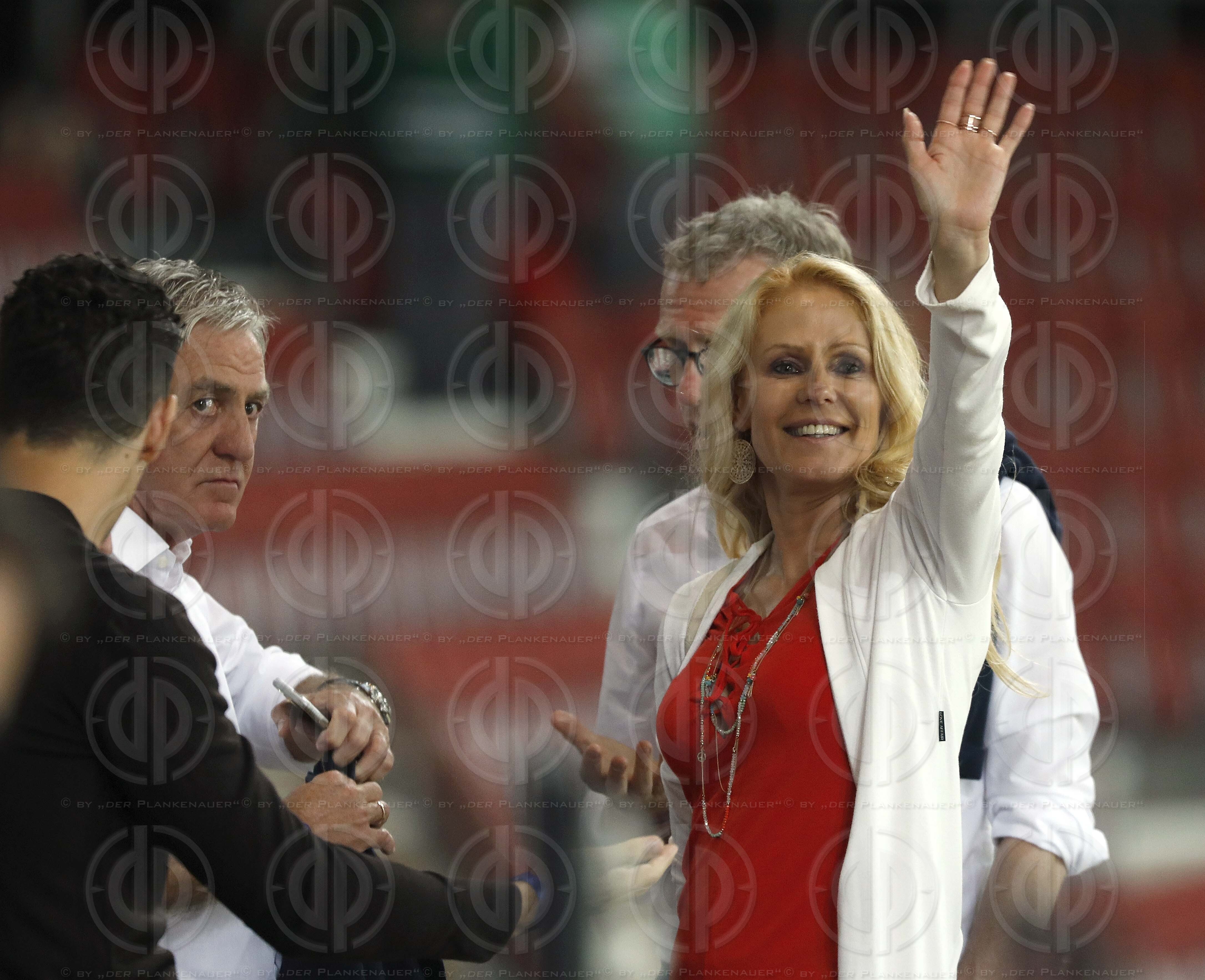 Länderspiel EM-Q. Österreich vs. Slowenien (1:0)