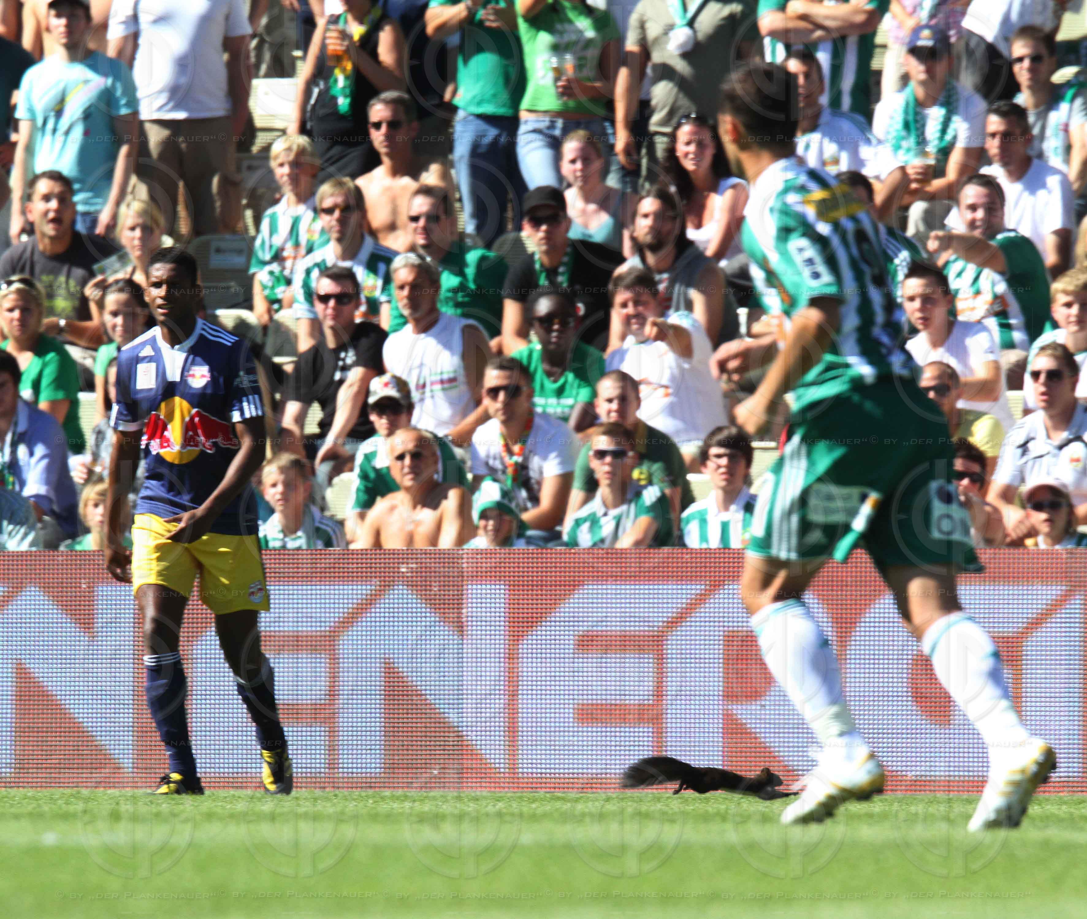 SK Rapid Wien vs. Red Bulls Salzburg