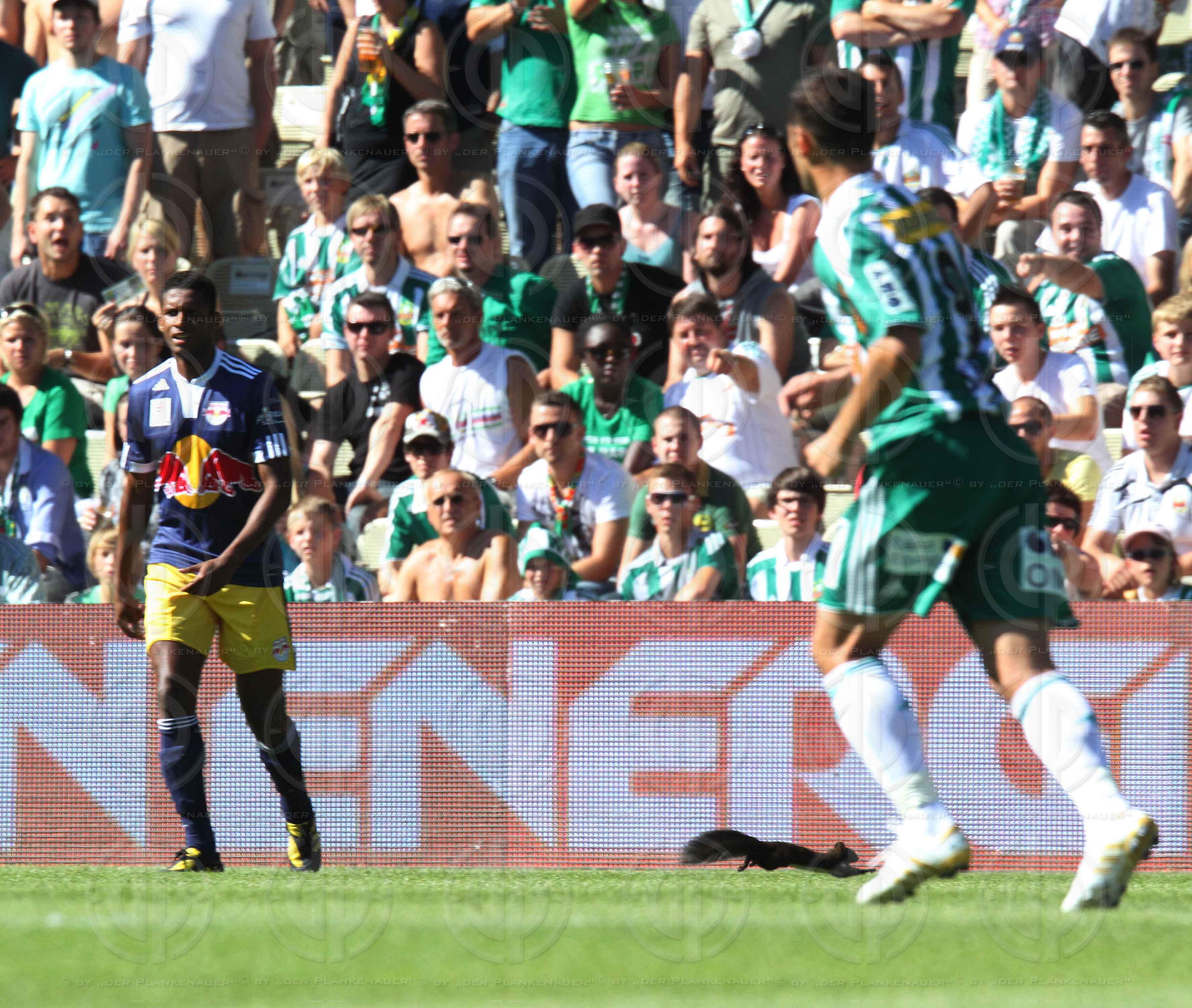 SK Rapid Wien vs. Red Bulls Salzburg