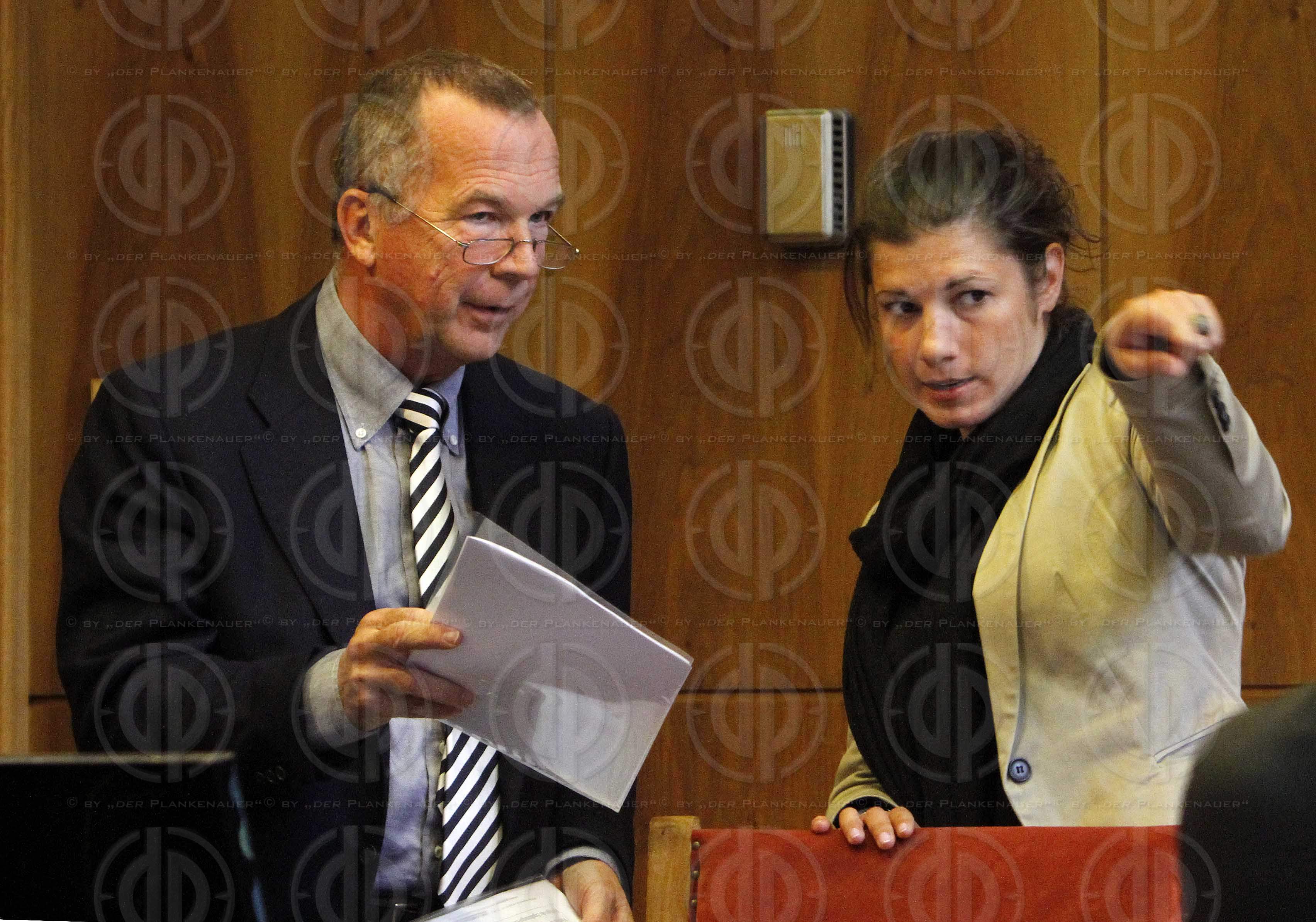 Strafverfahren gegen Hannes KARTNIG u.a.