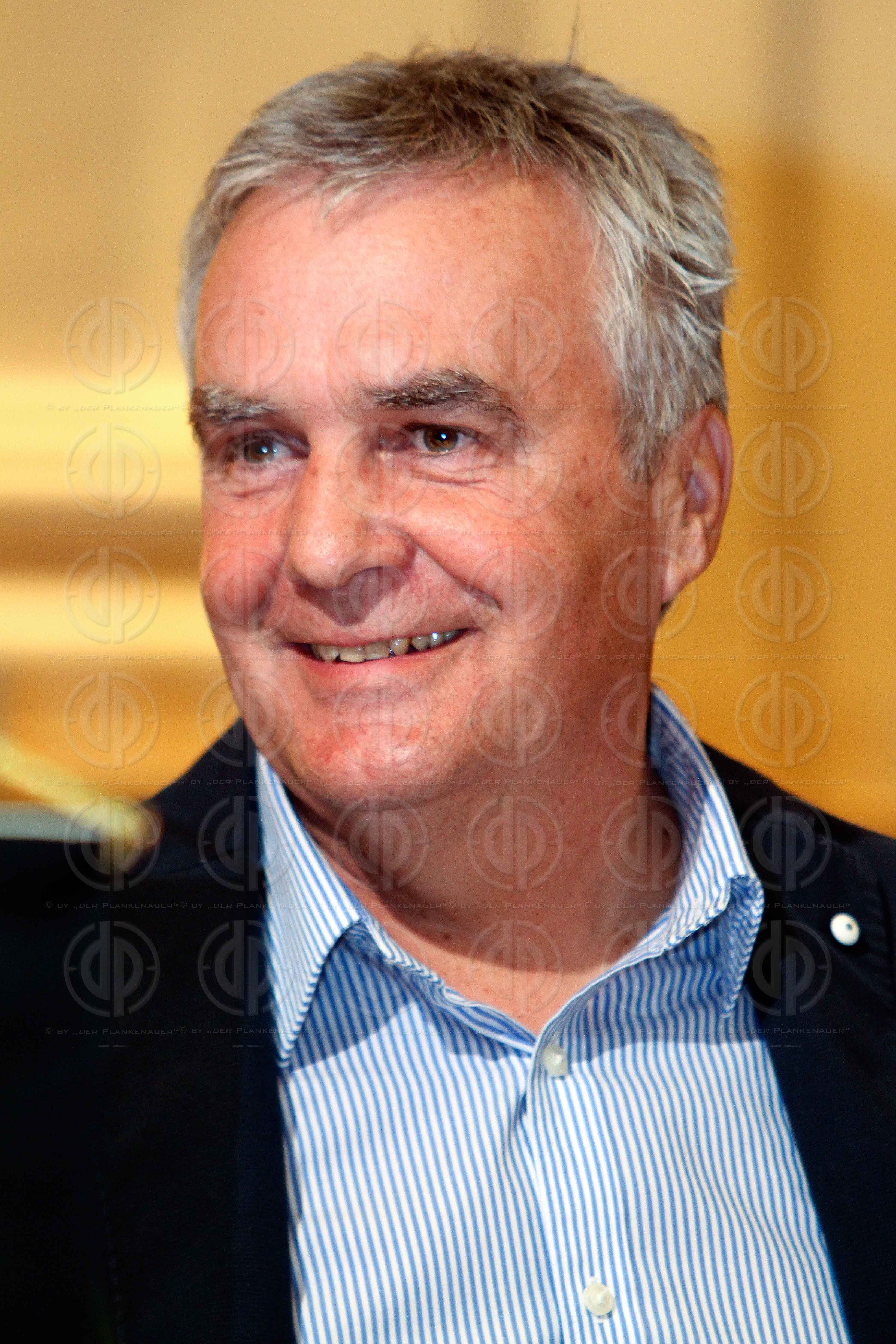 Oesterreich eine Mediokratie?