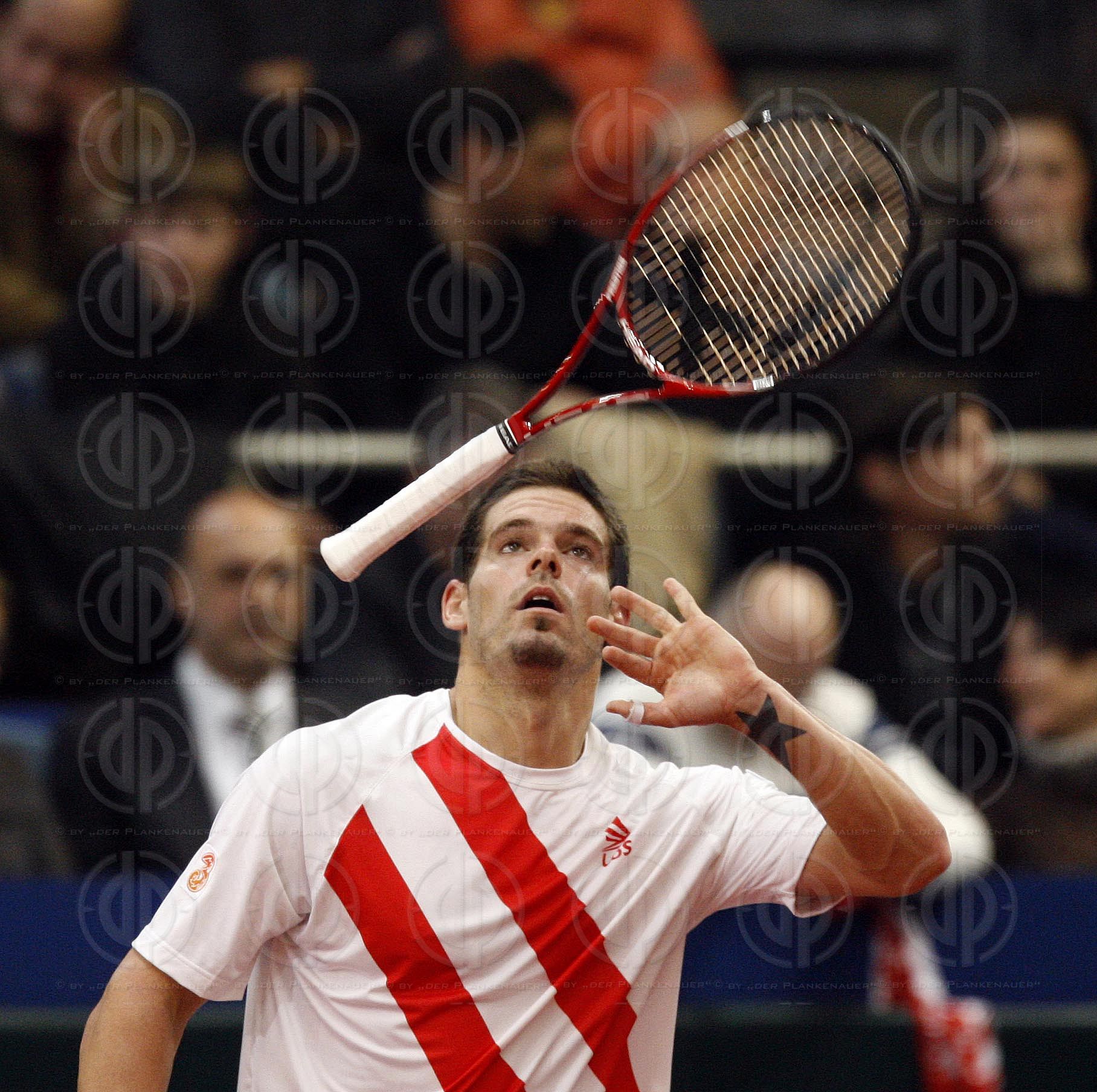 Davis Cup Öesterreich vs. Slowakei