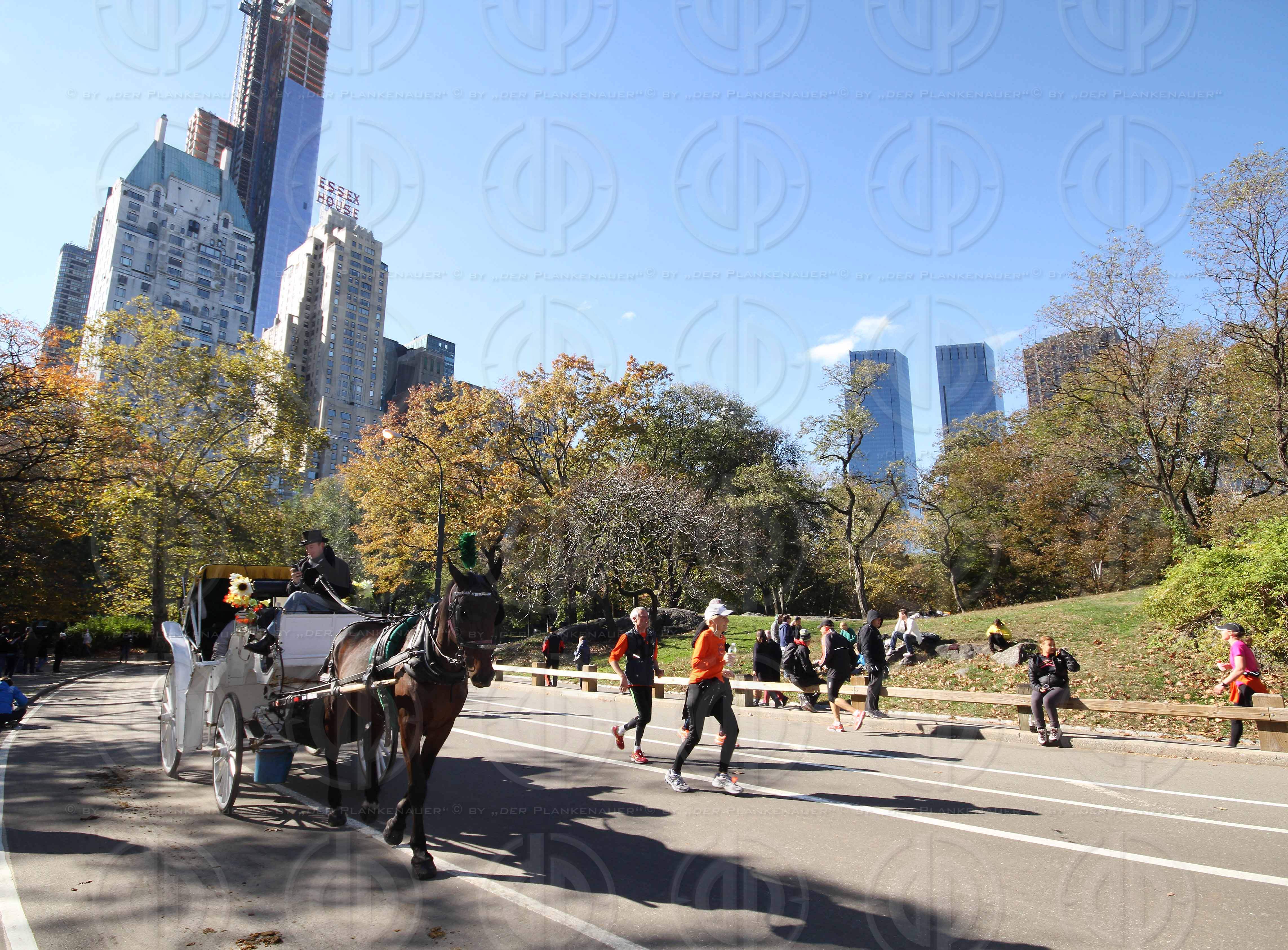 NYC Marathon anway Run 2012