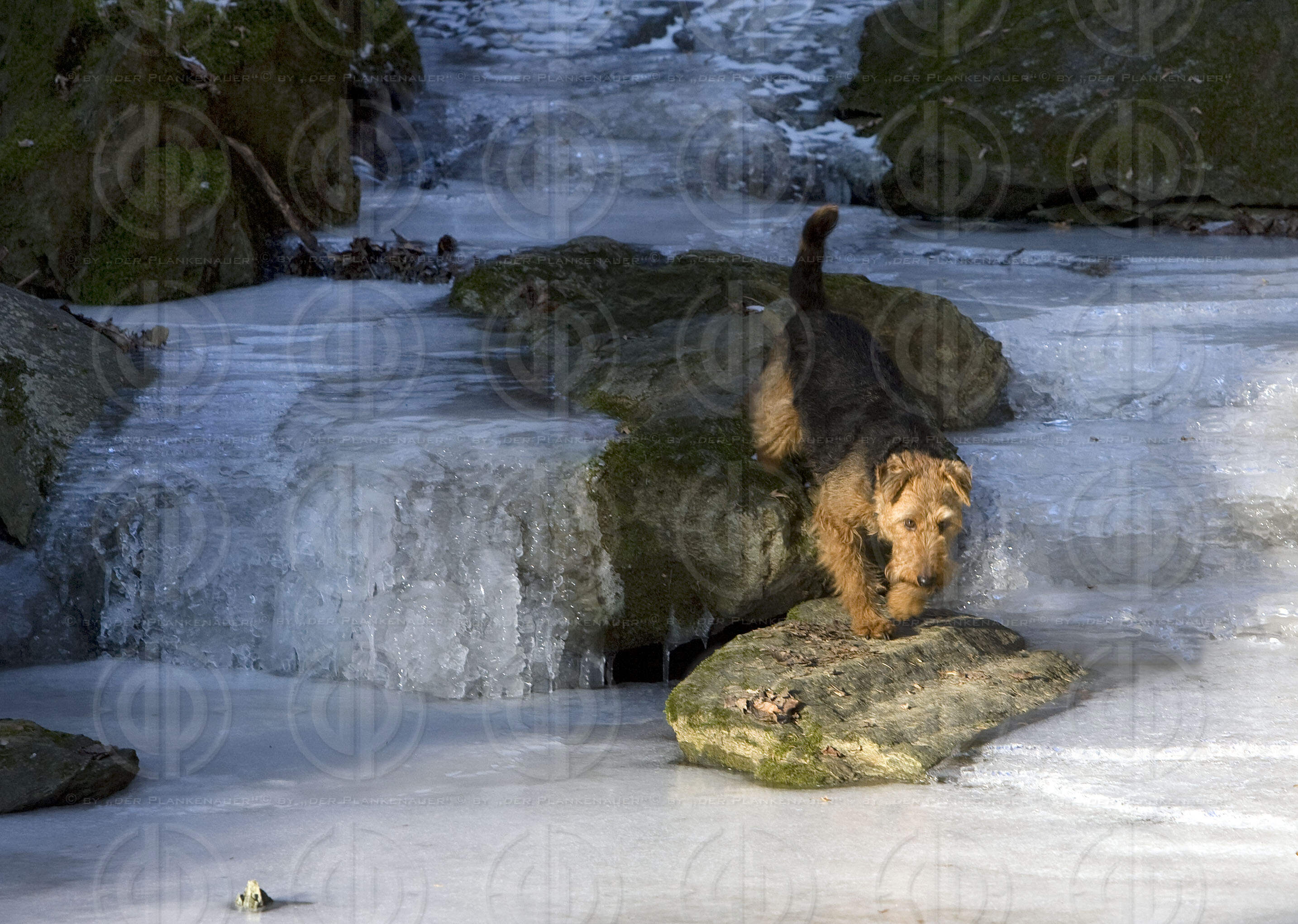 Rettenbachklamm im Winter