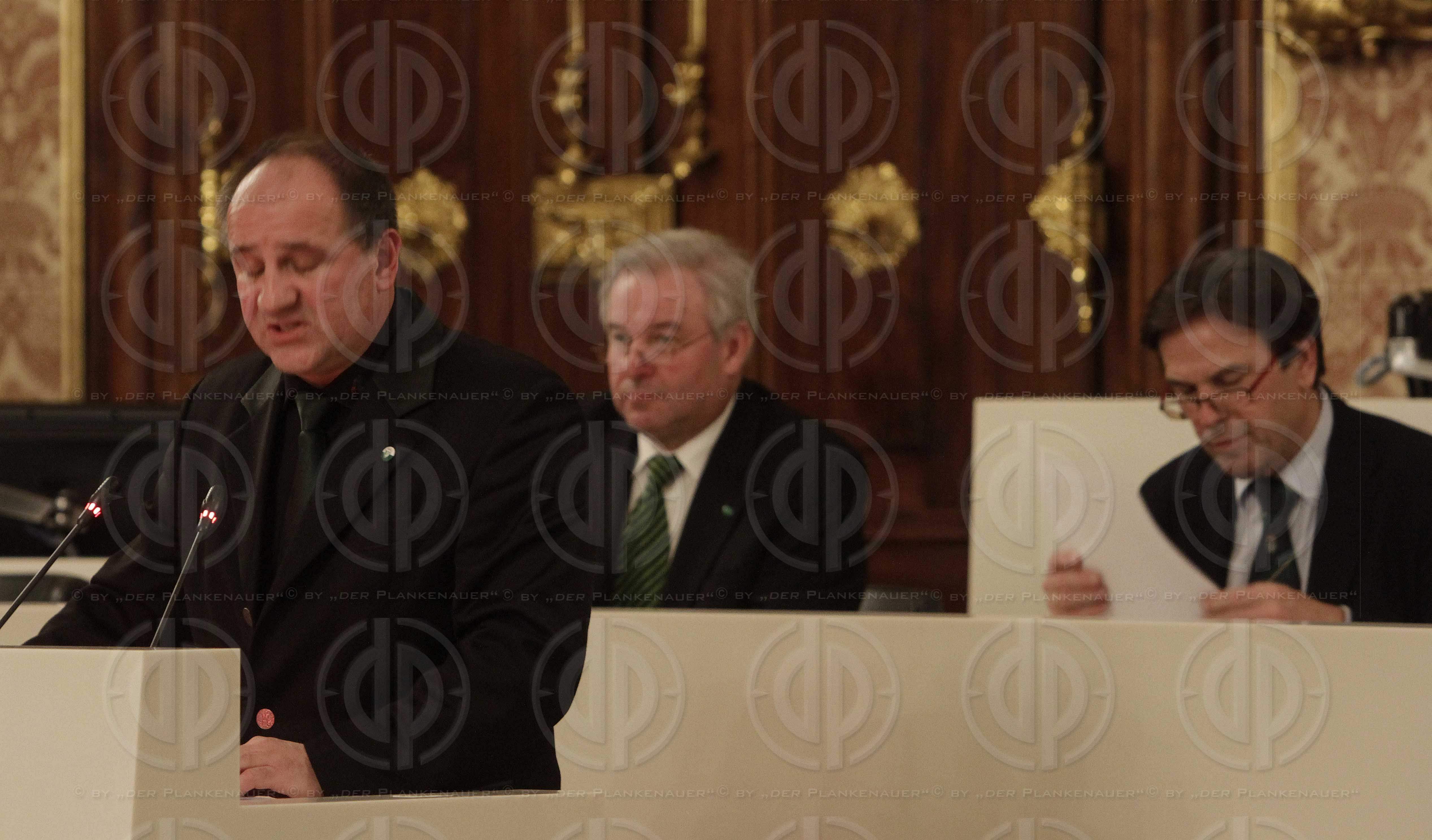 Sonderlandtag Steiermark