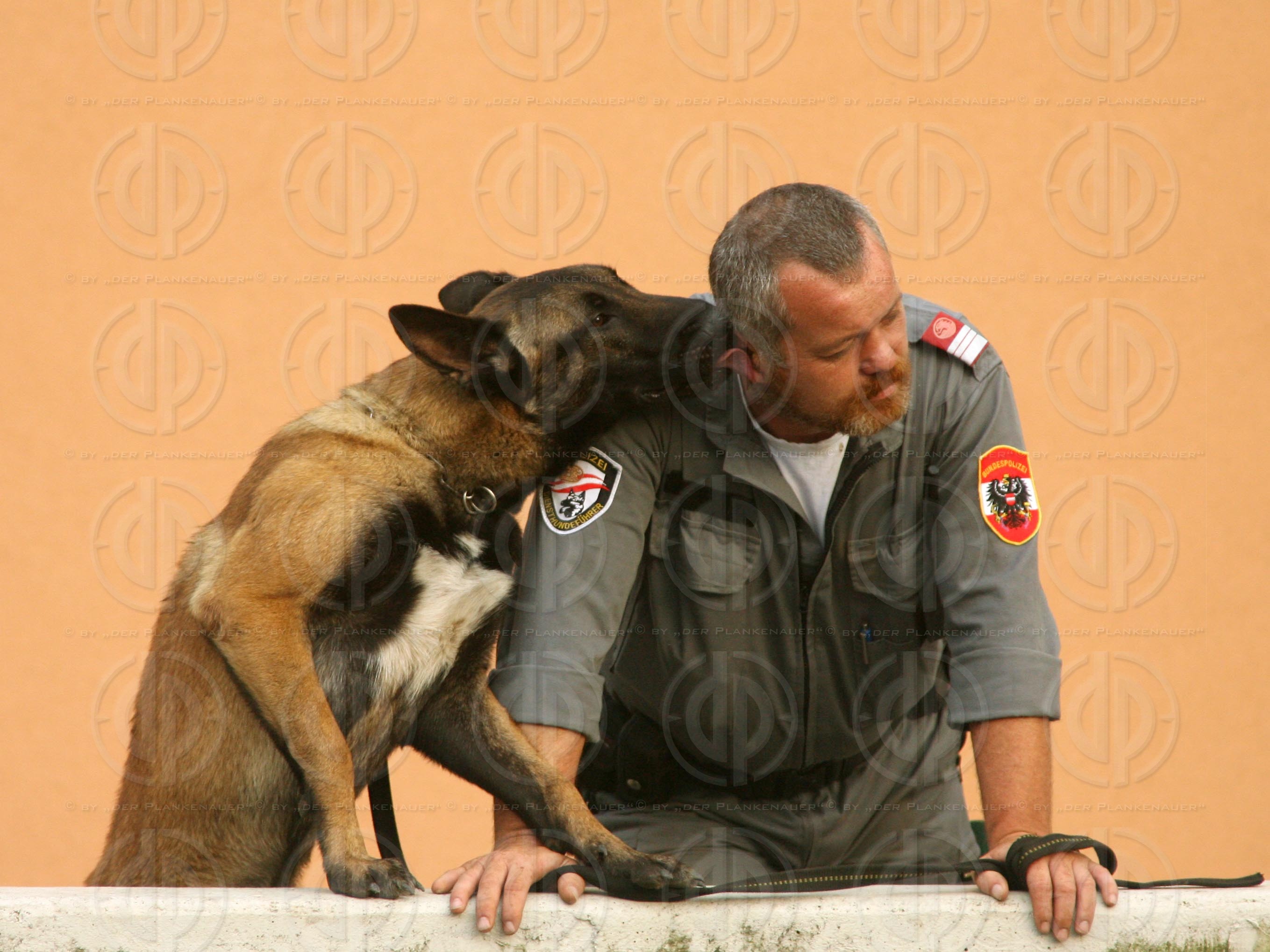 Herr und Hund beim Fussball